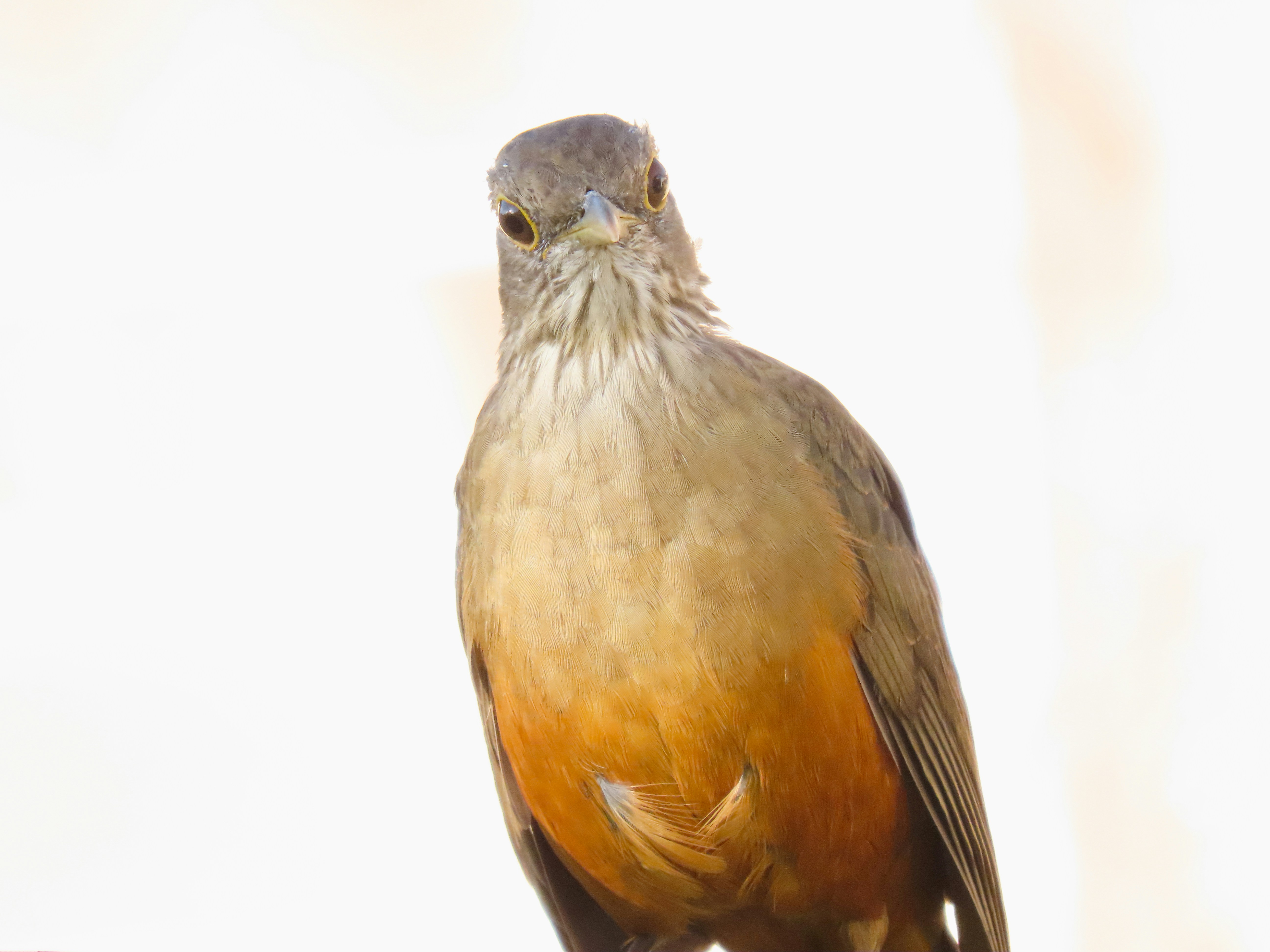 Photo by patricianicoloso