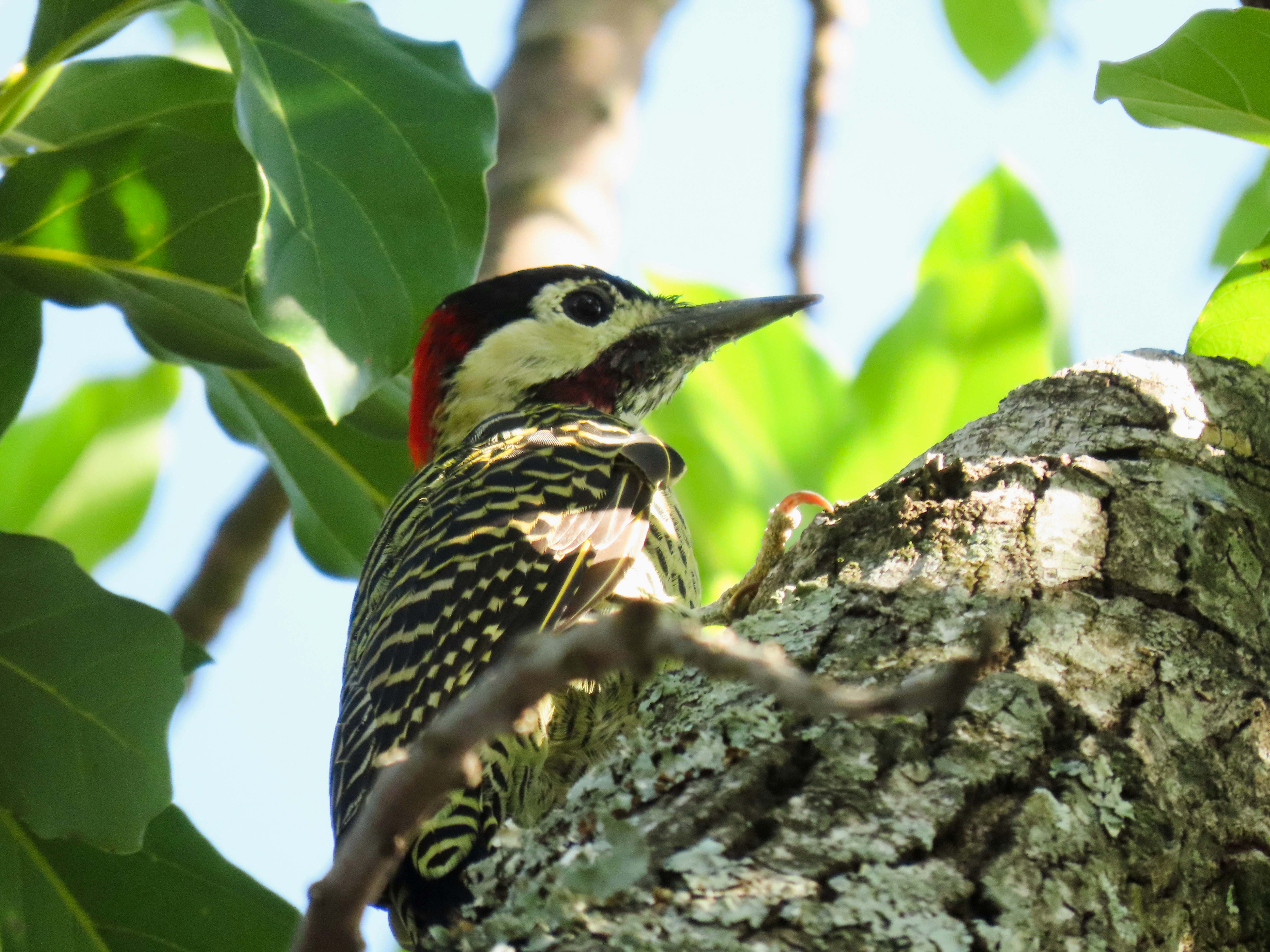 Photo by patricianicoloso