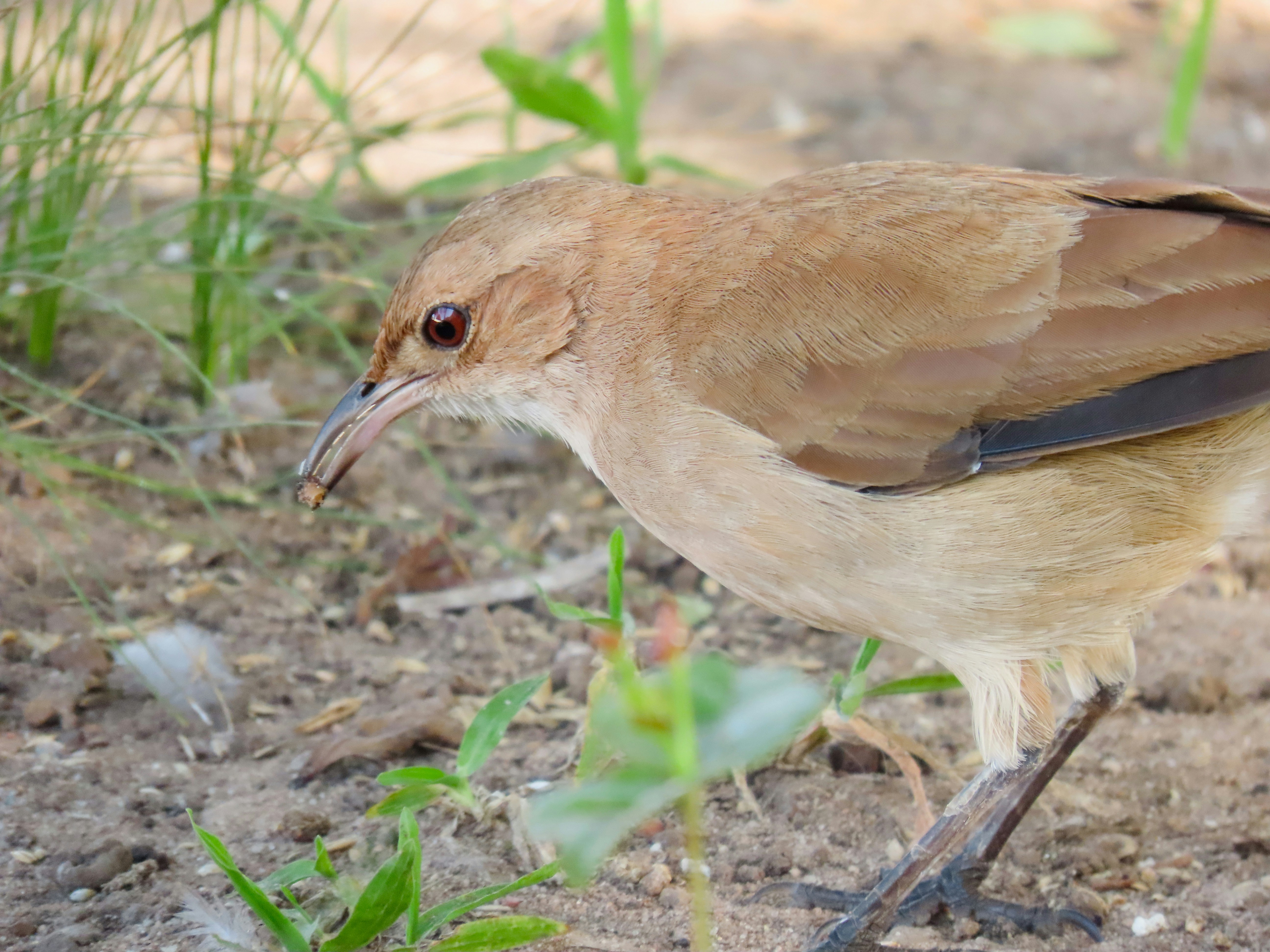 Photo by patricianicoloso