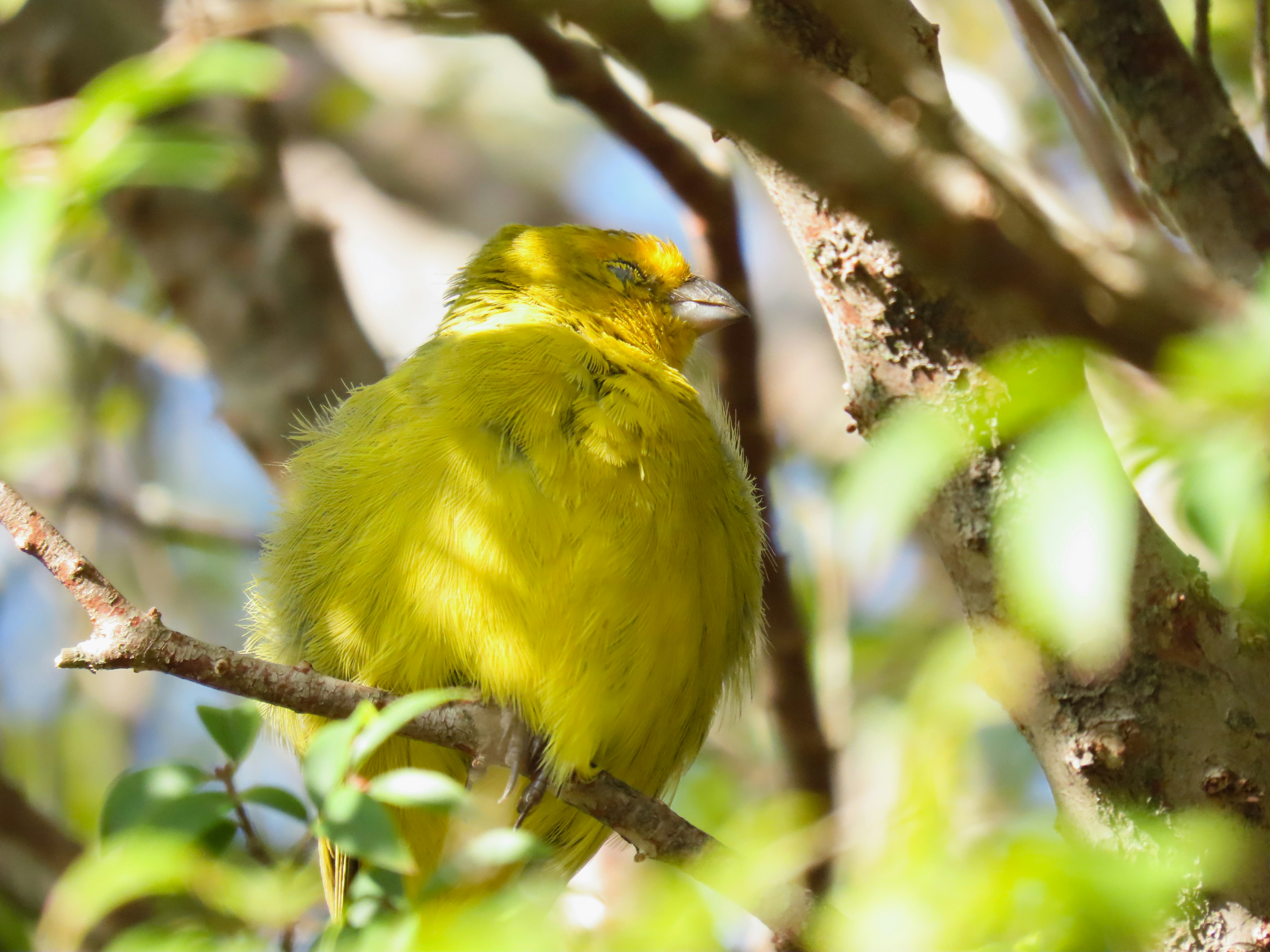 Photo by patricianicoloso