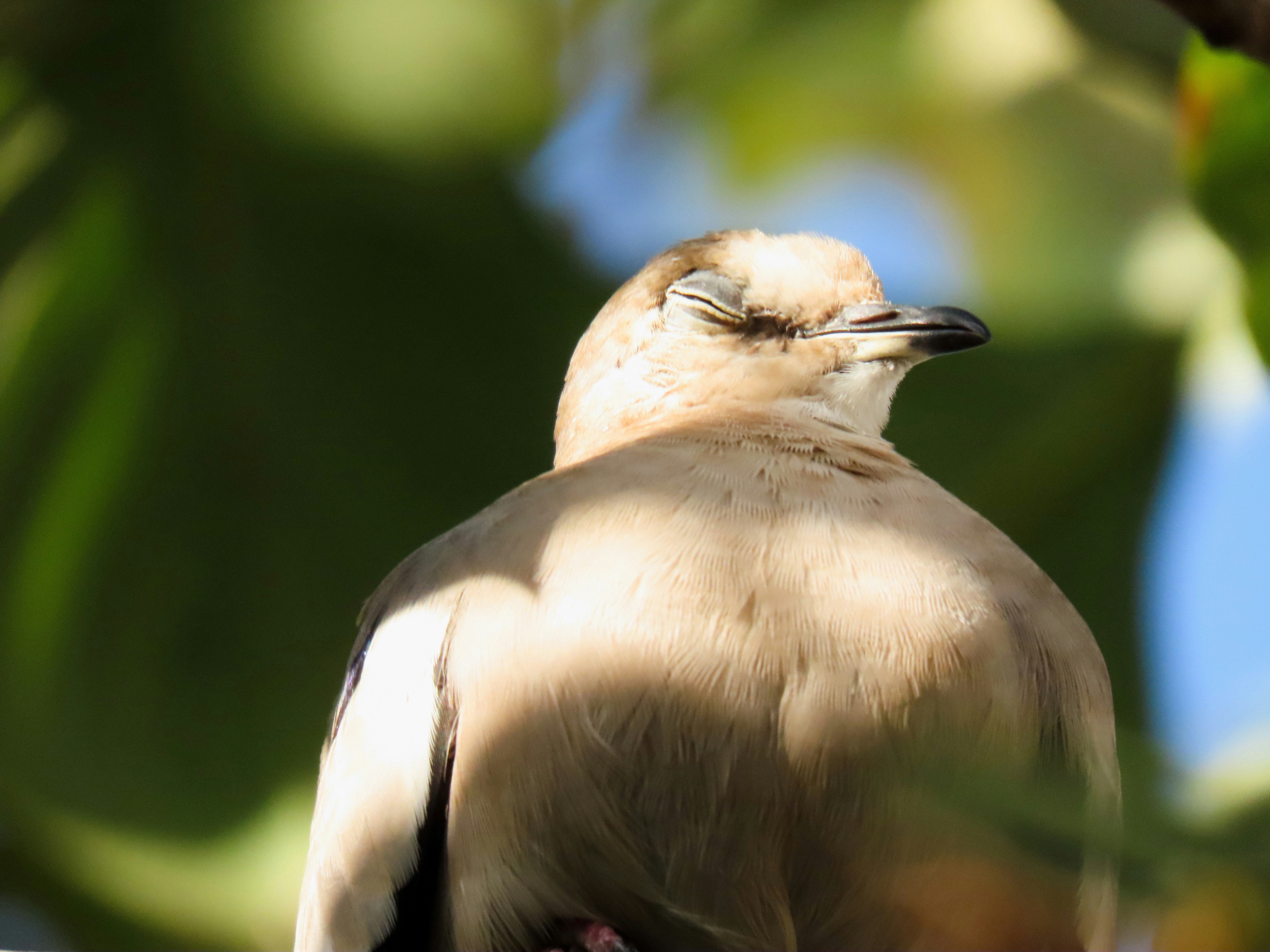 Photo by patricianicoloso