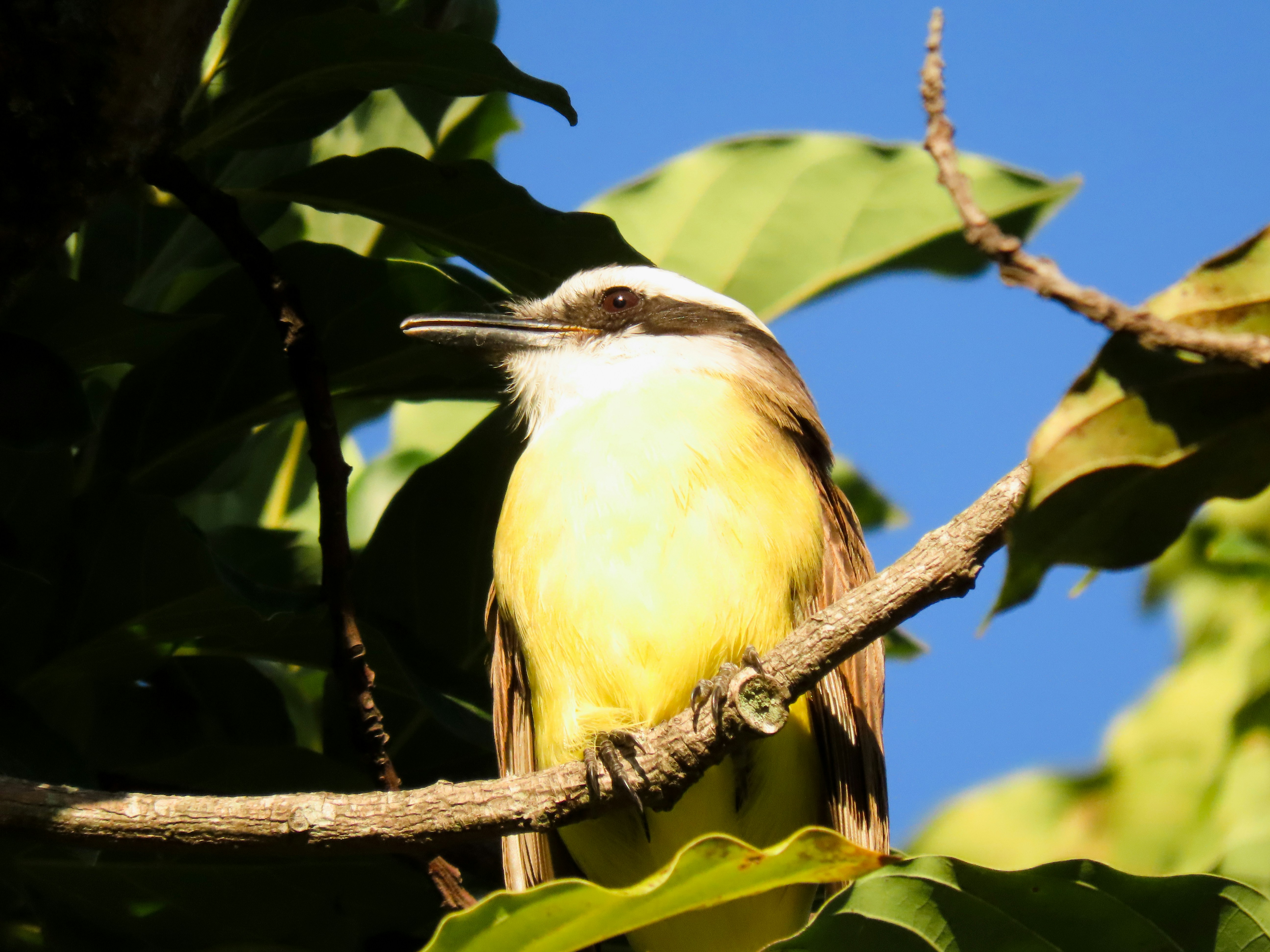 Photo by patricianicoloso