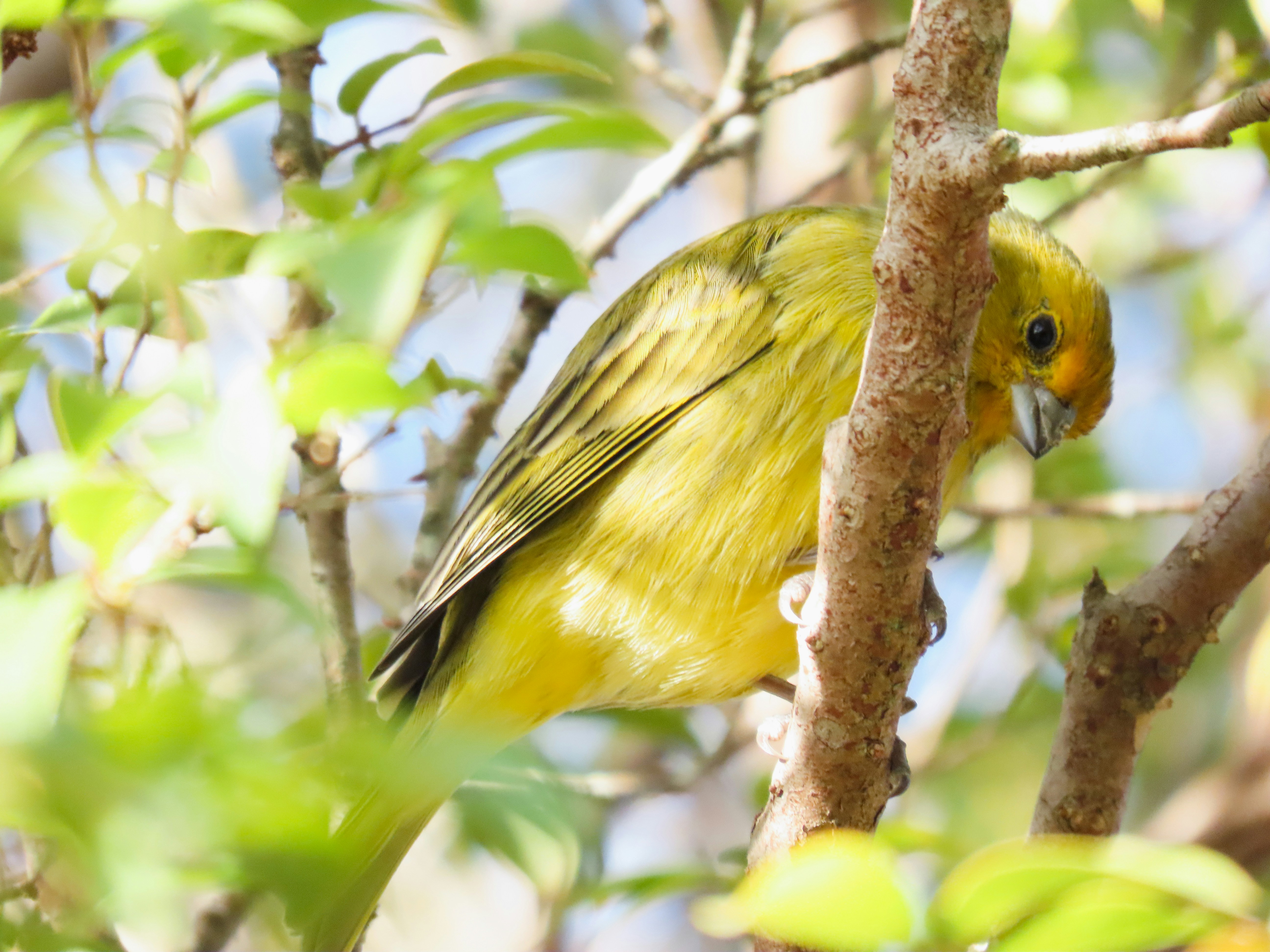 Photo by patricianicoloso