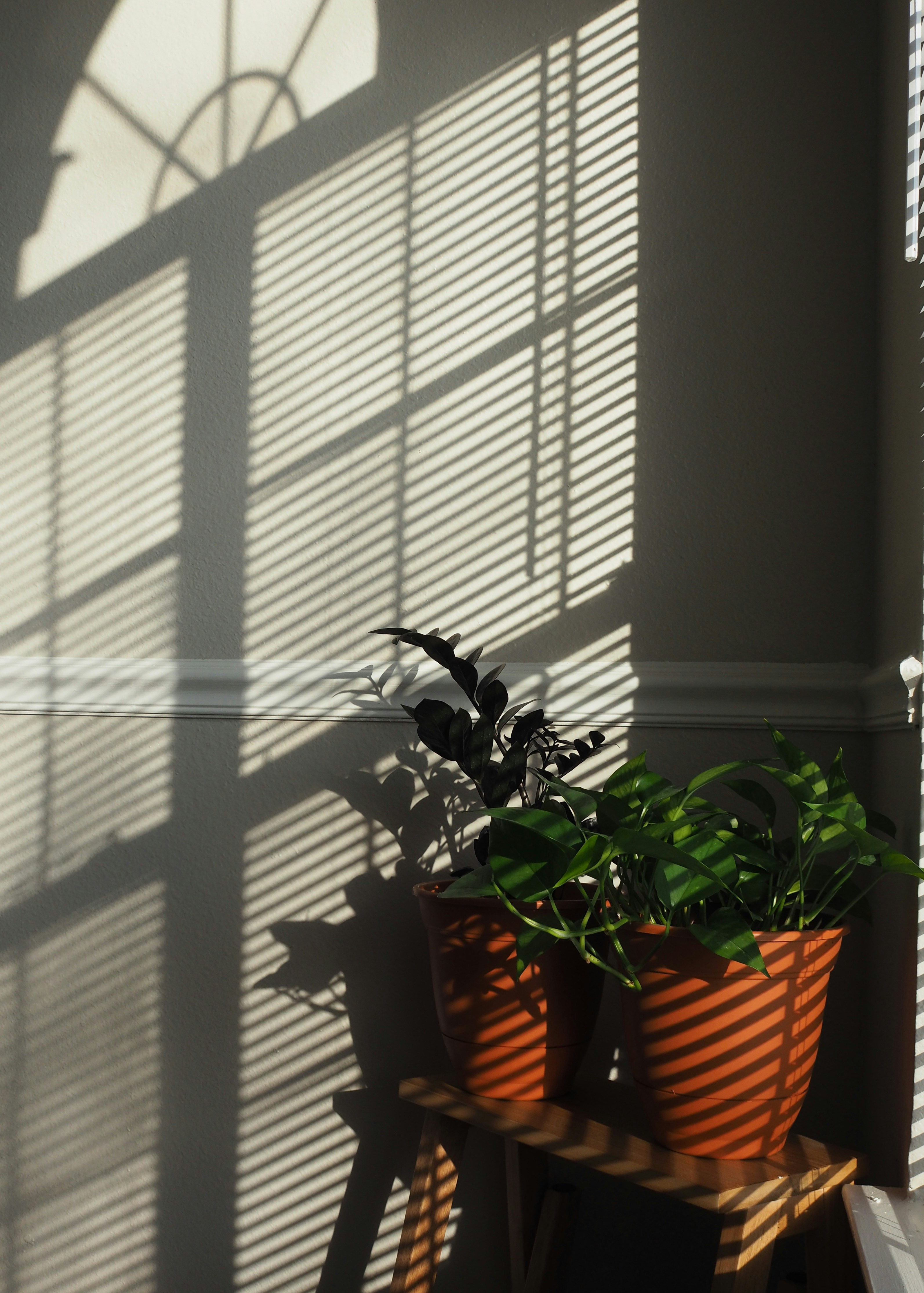 Photo by fieldworkframes