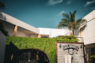 A building with a sign that says rock and vines