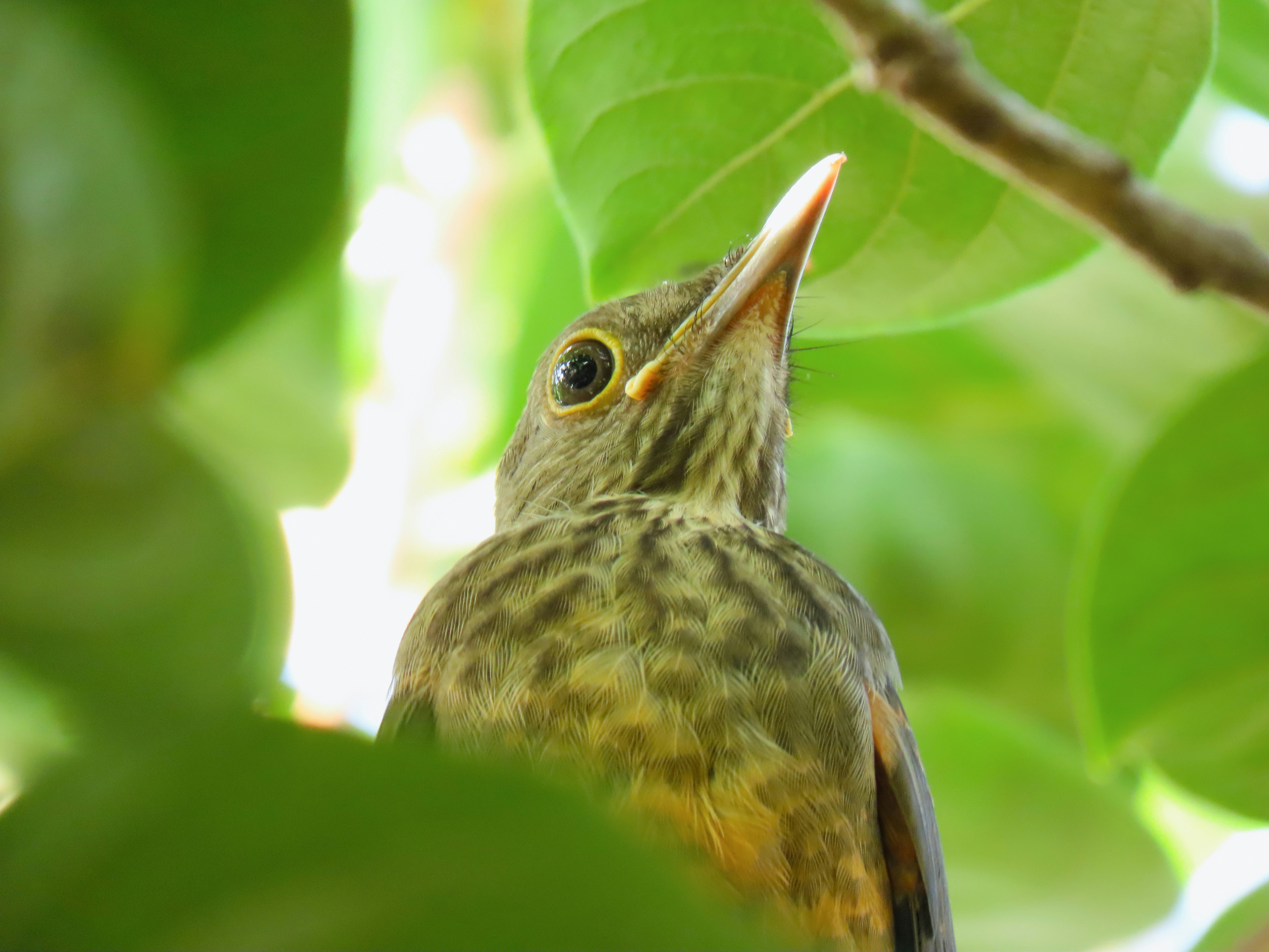 Photo by patricianicoloso