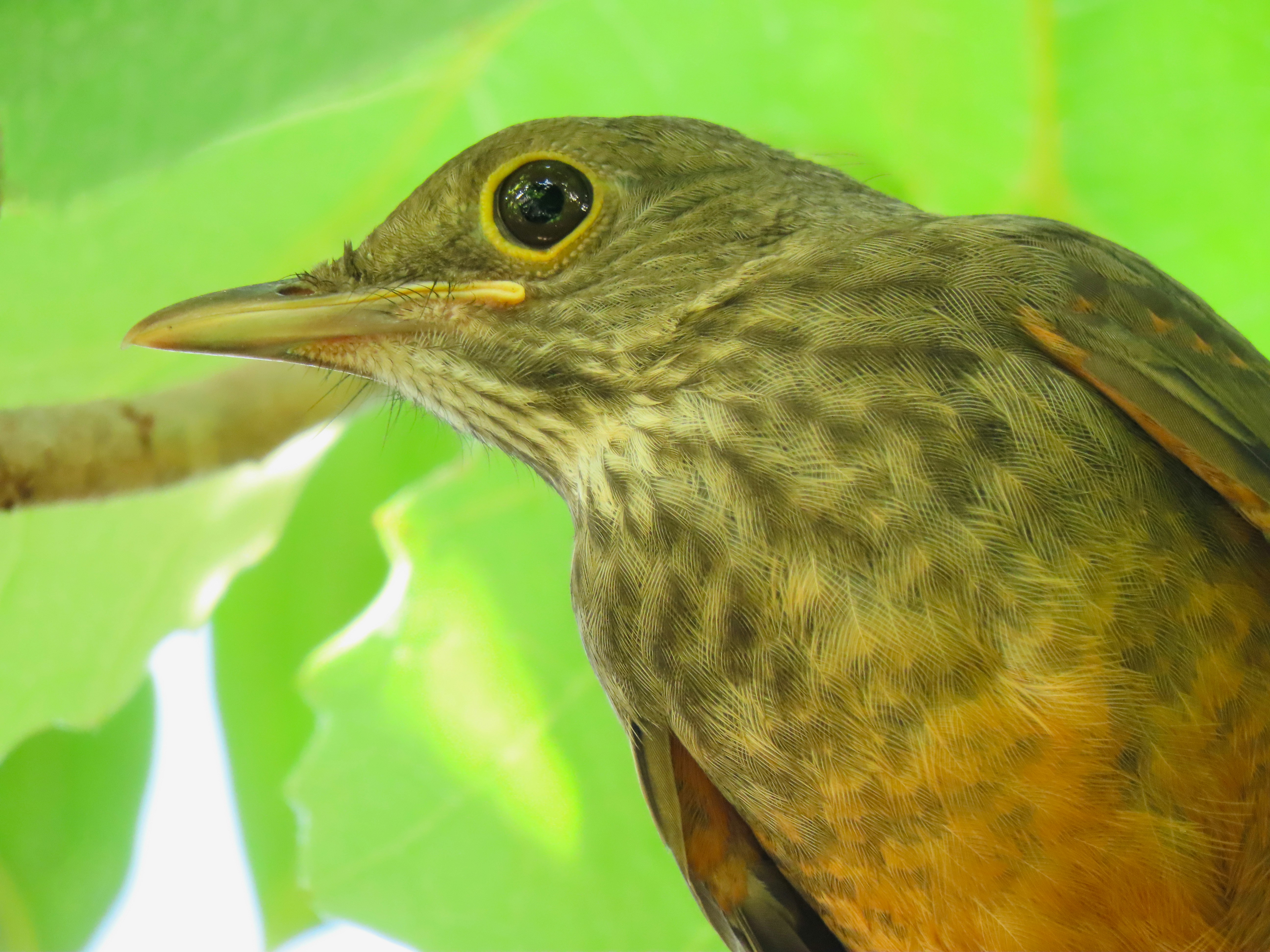 Photo by patricianicoloso