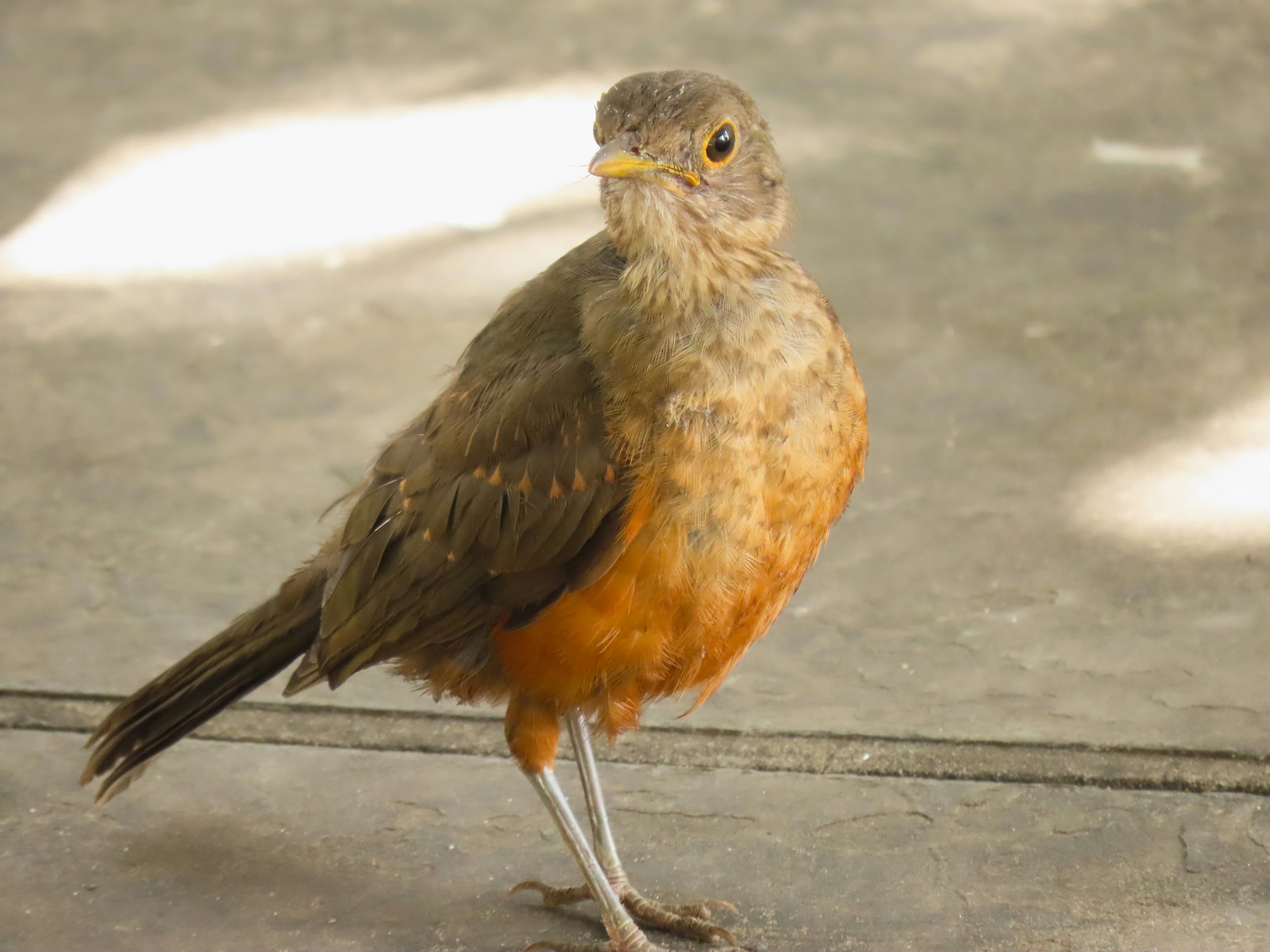 Photo by patricianicoloso