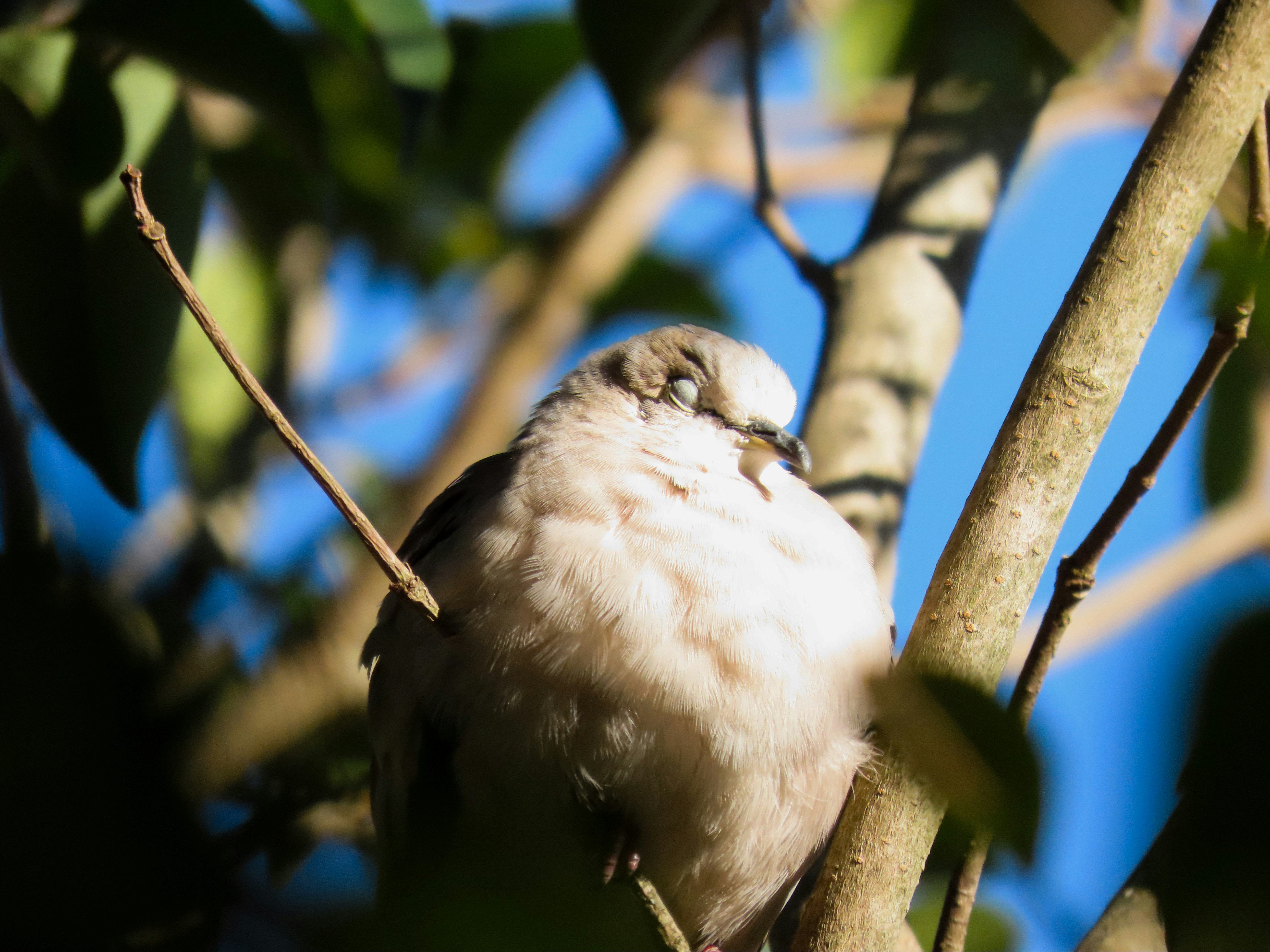 Photo by patricianicoloso