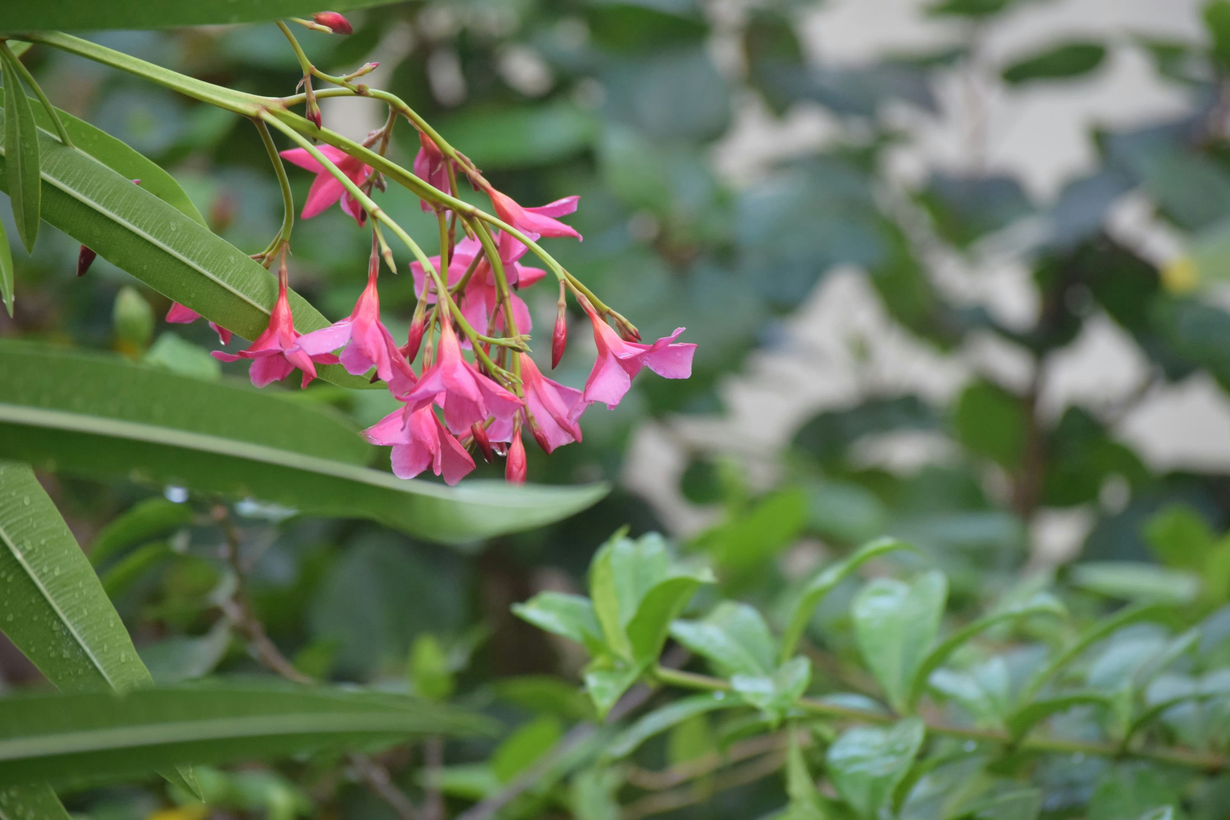 Photo by highskyline0