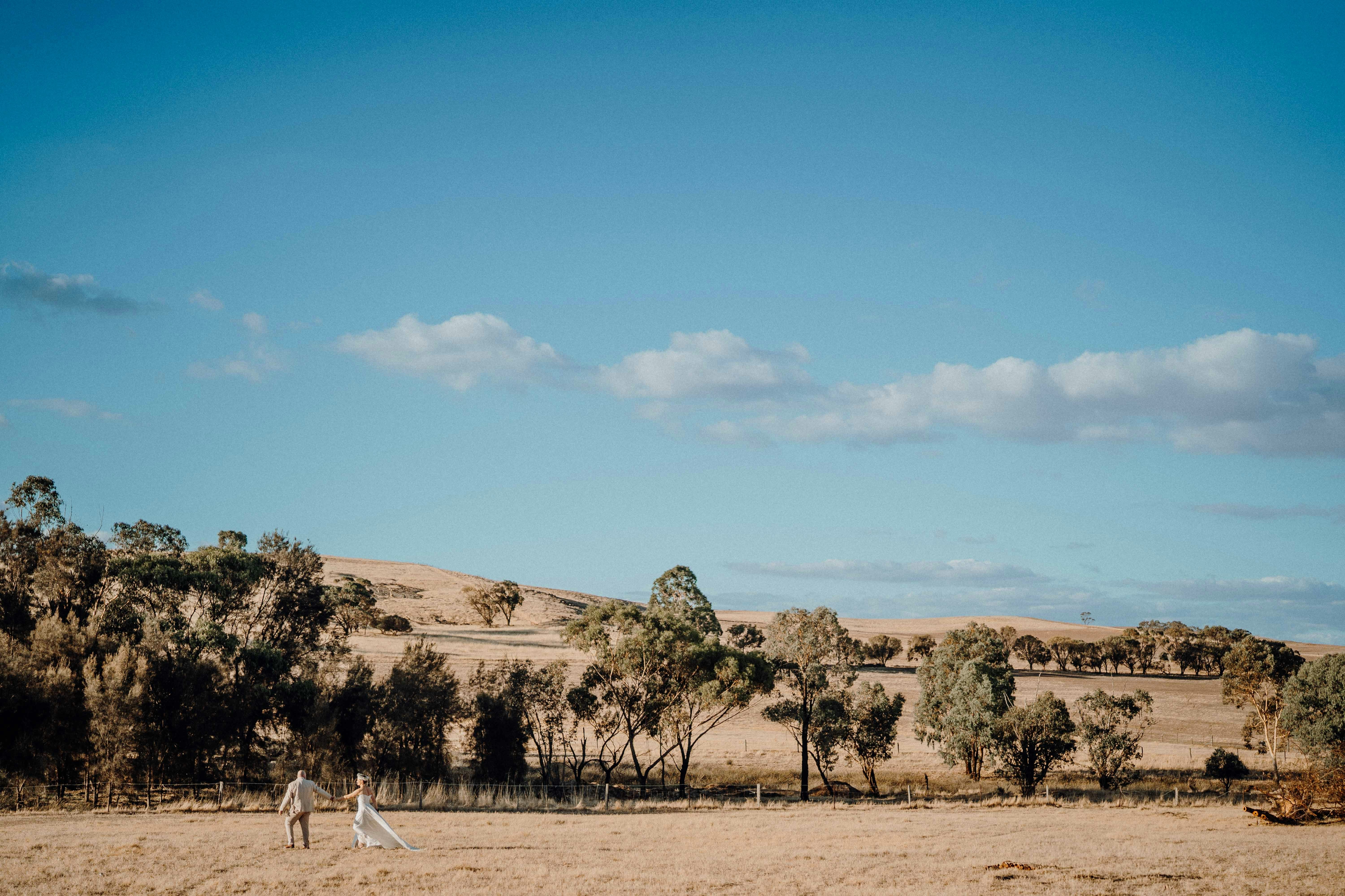 luxury farm wedding landscape, wallpaper, Average Cost of a Wedding at June Farms: Budget Guide 6