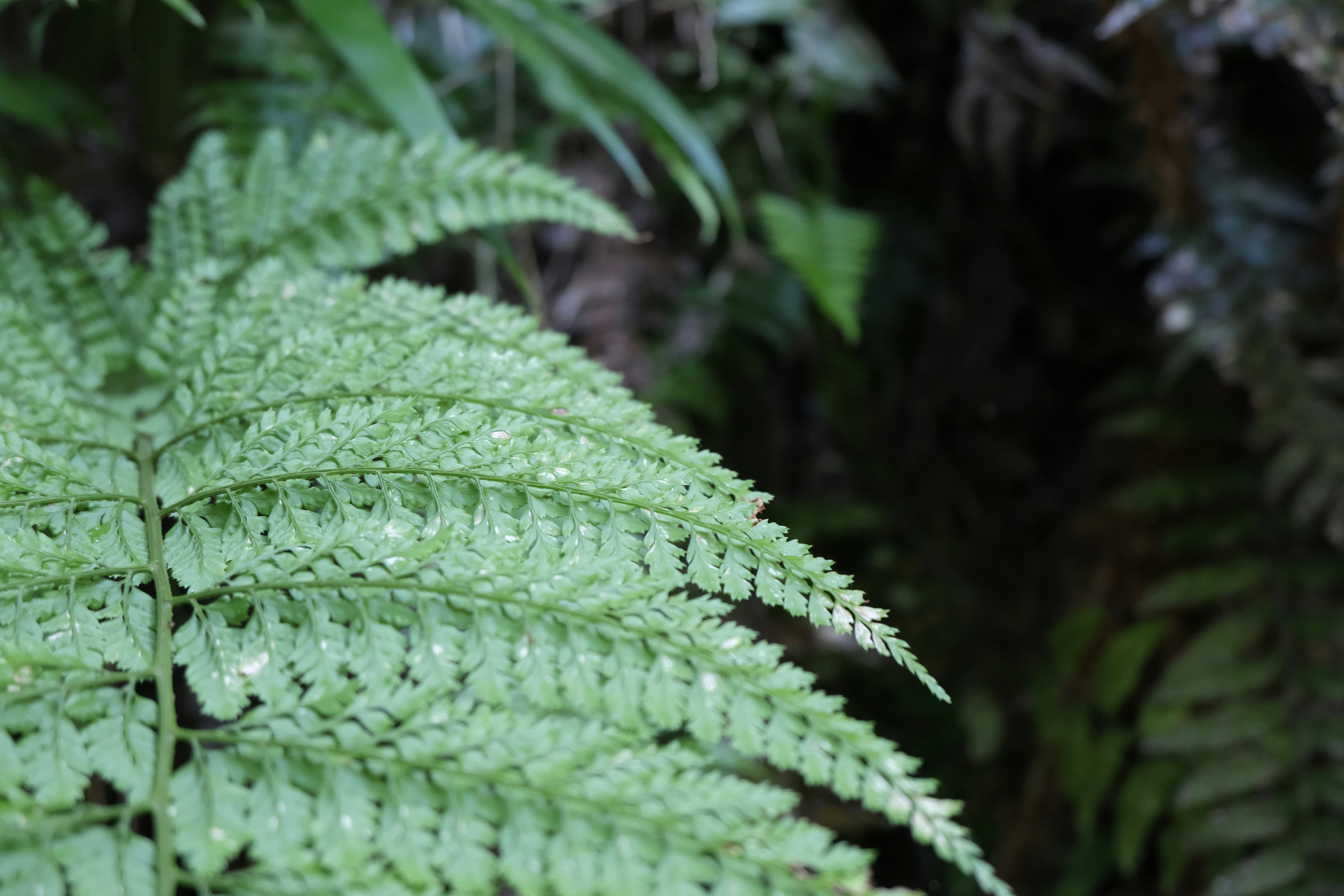 Photo by hanningchen