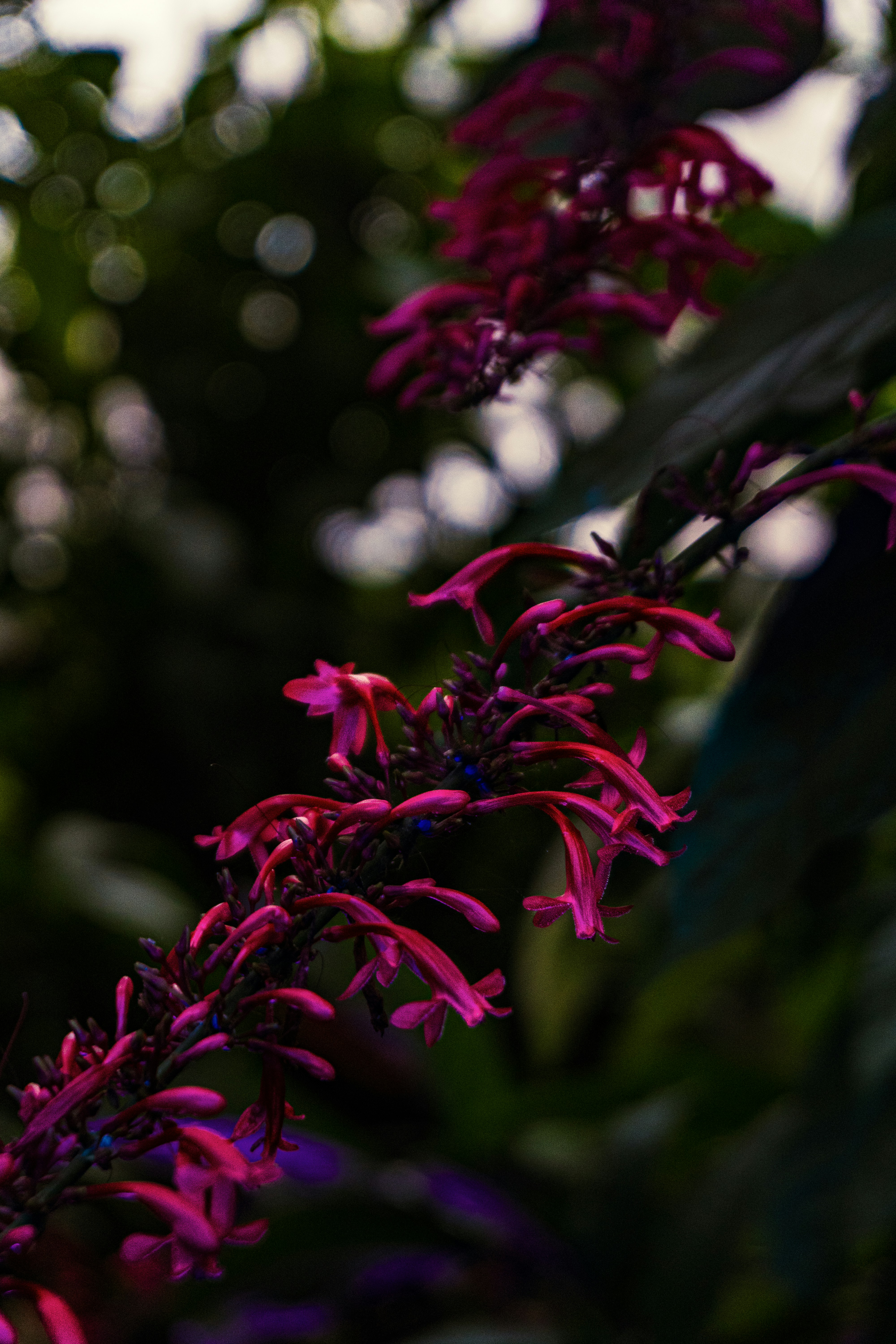 Photo by studio_a