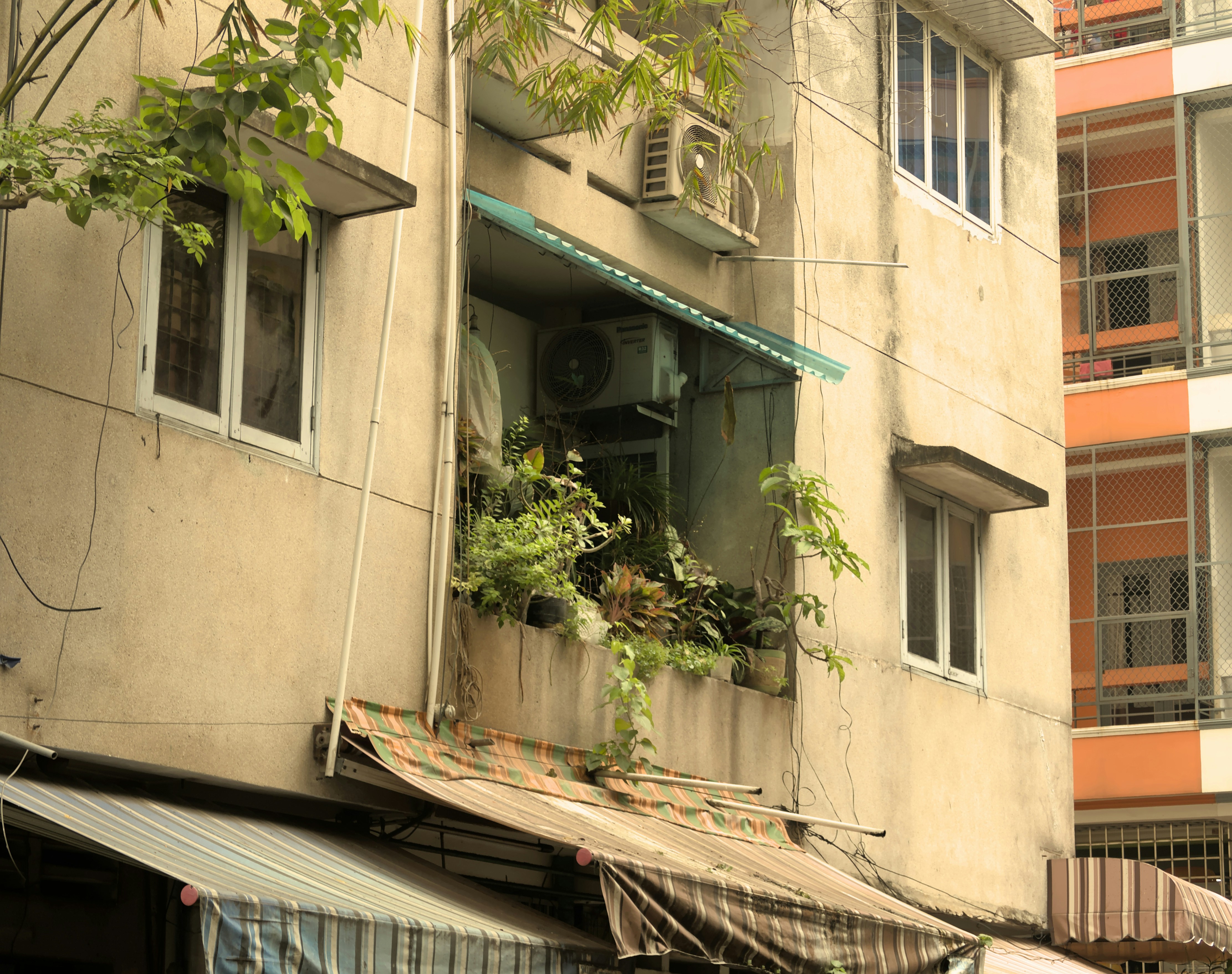 Photo by swetrad1712