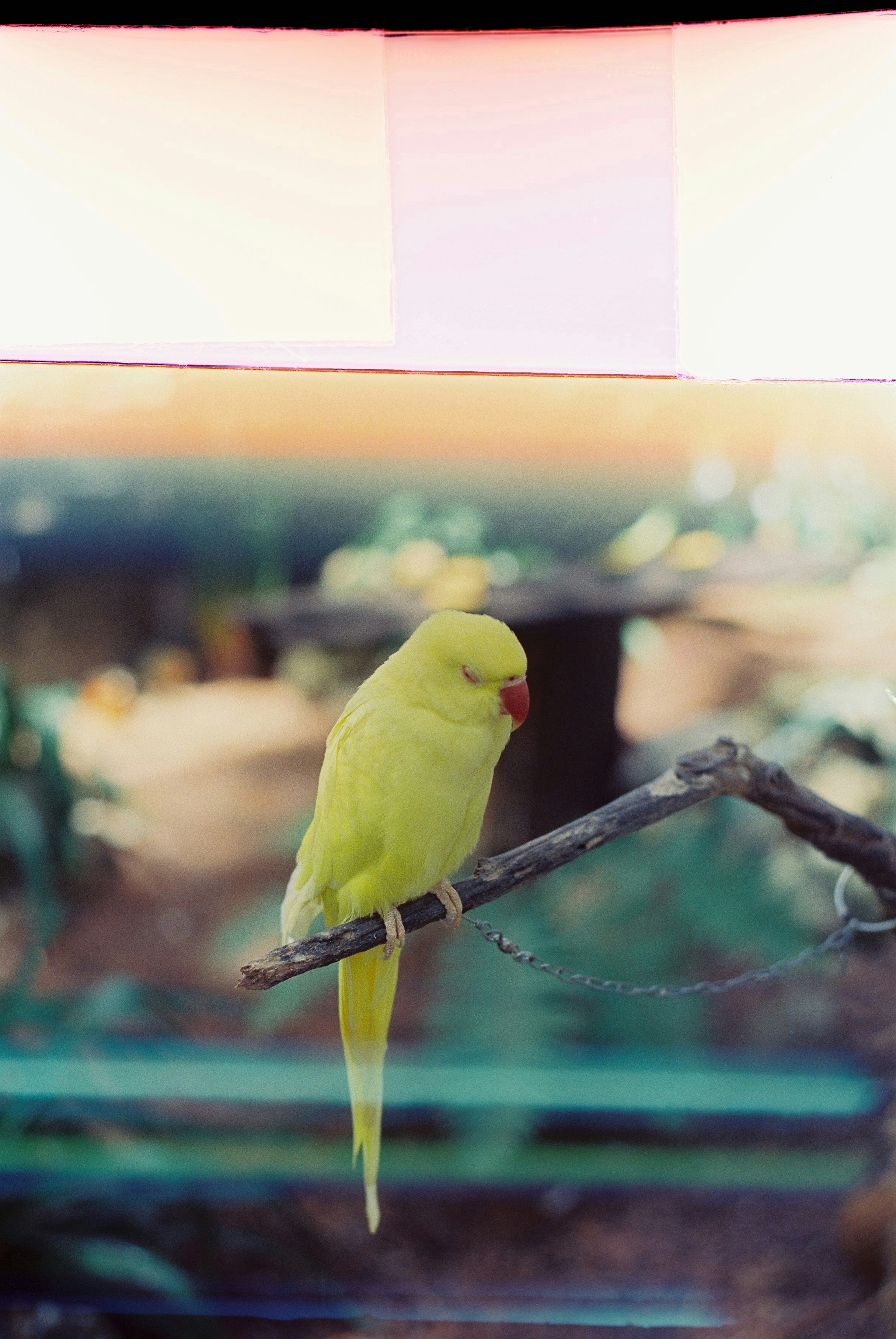 photo-1740288138240-c3ce61c24e48?ixid=M3