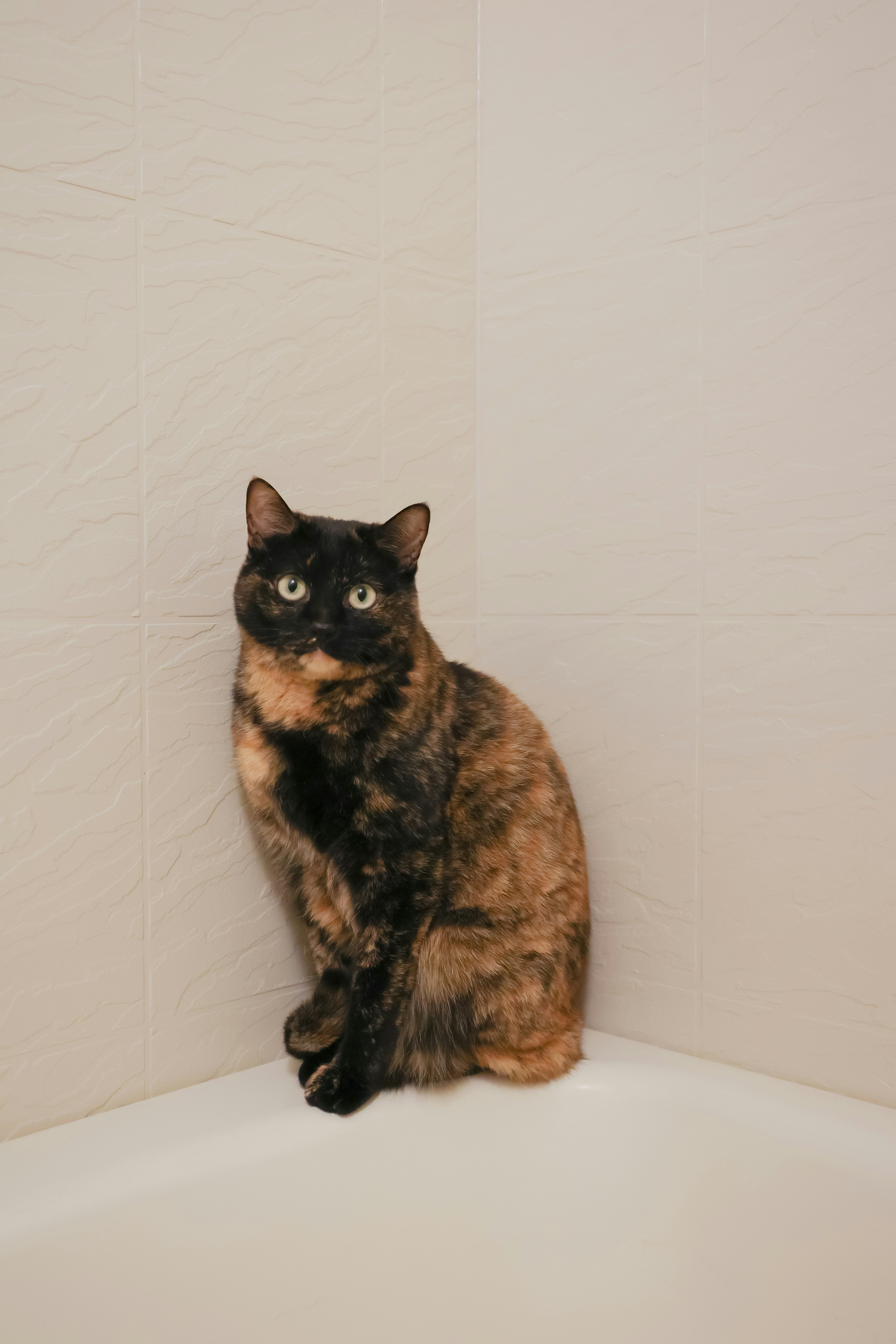 Bathroom Supervising (image credits: unsplash)