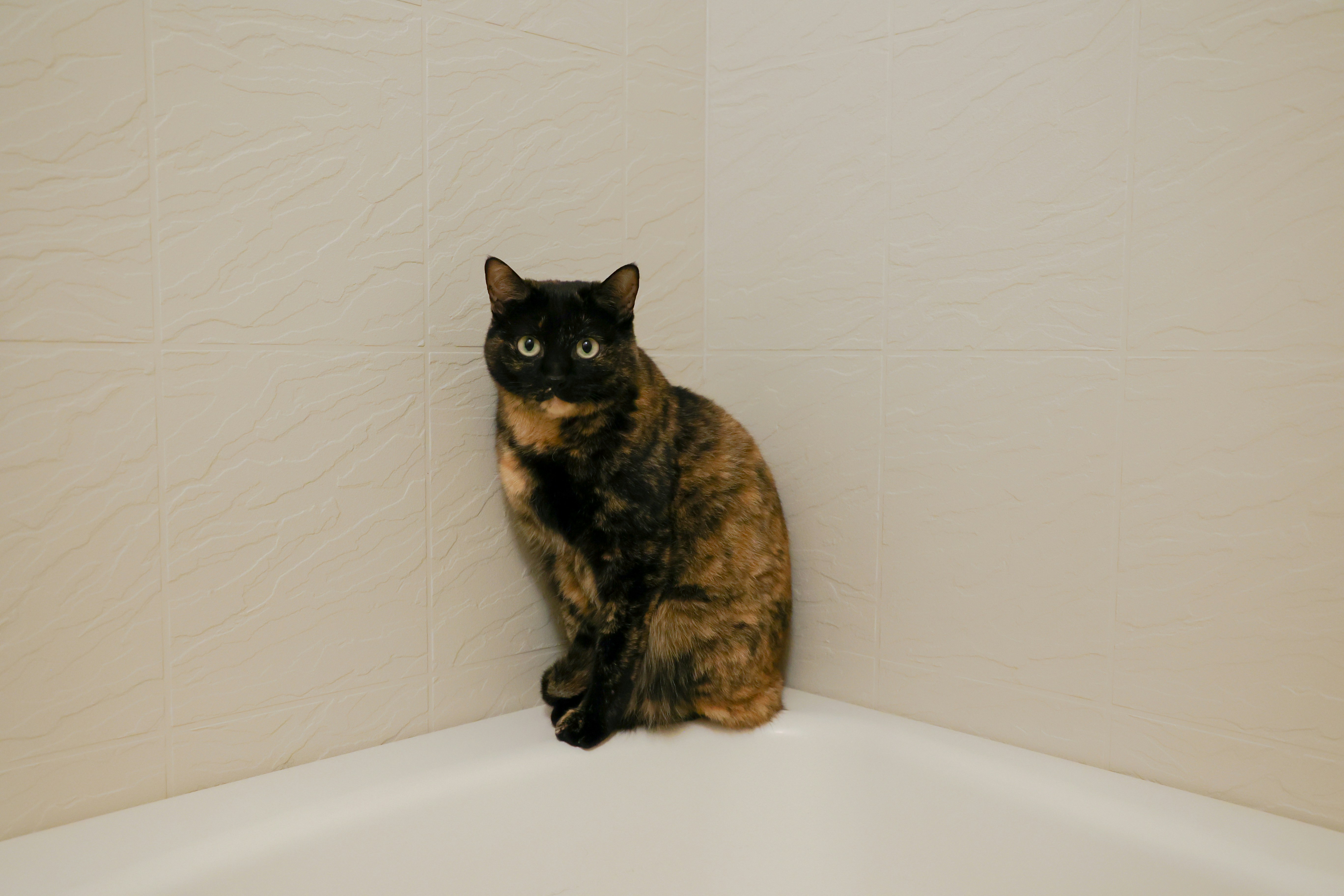 The Bathroom Hideaway (image credits: unsplash)