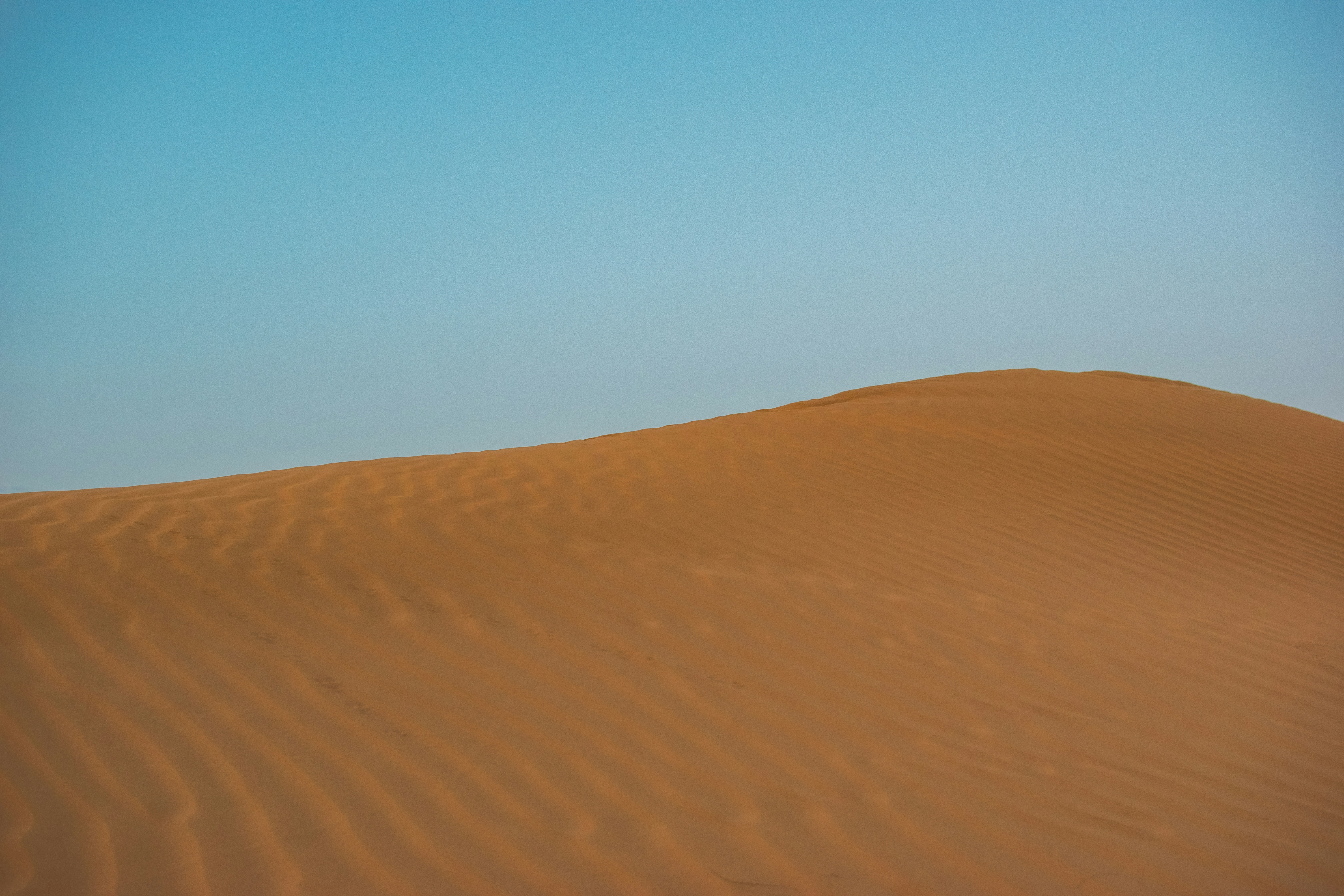 Photo by patrikjensen