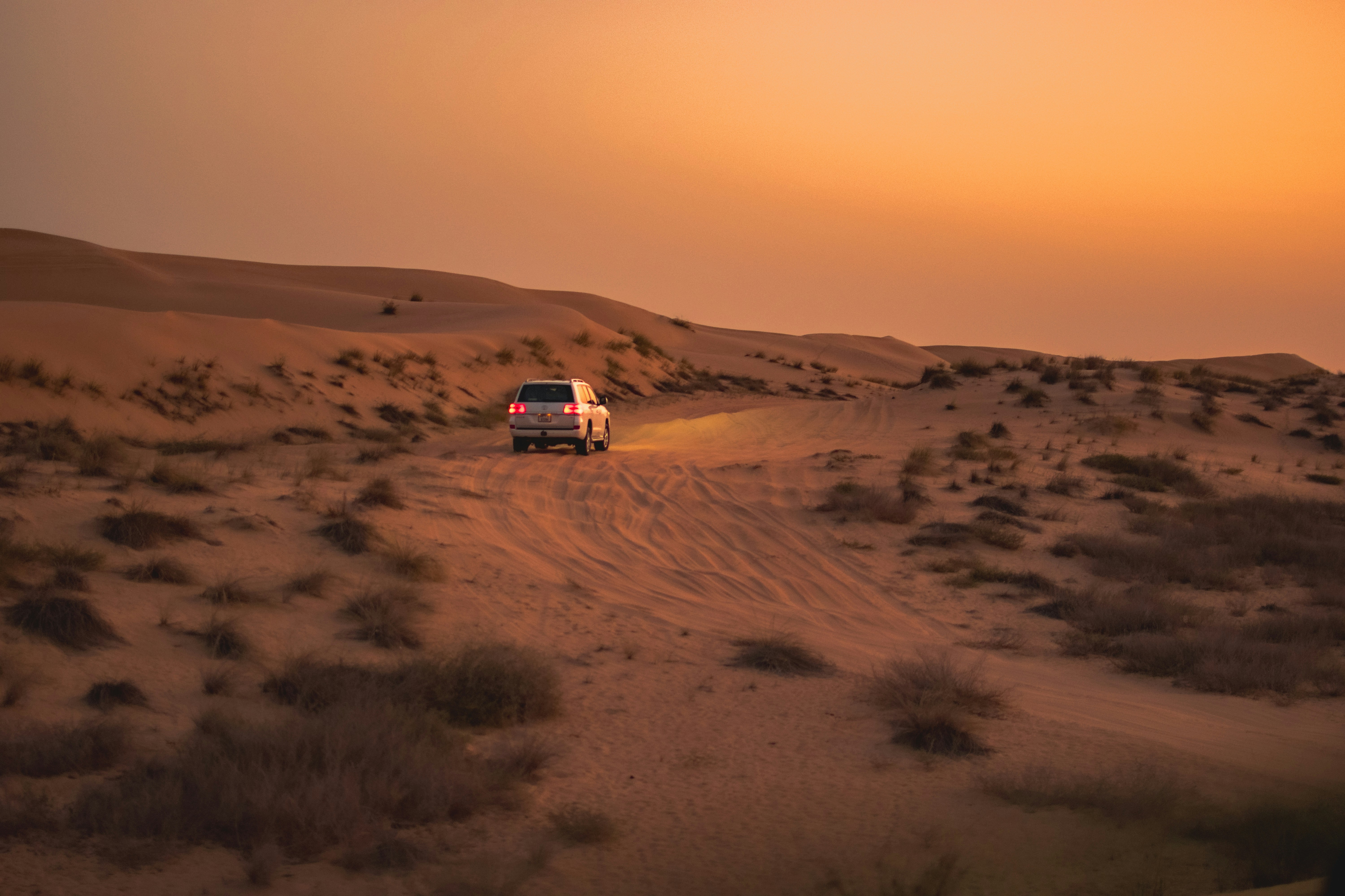 Photo by patrikjensen