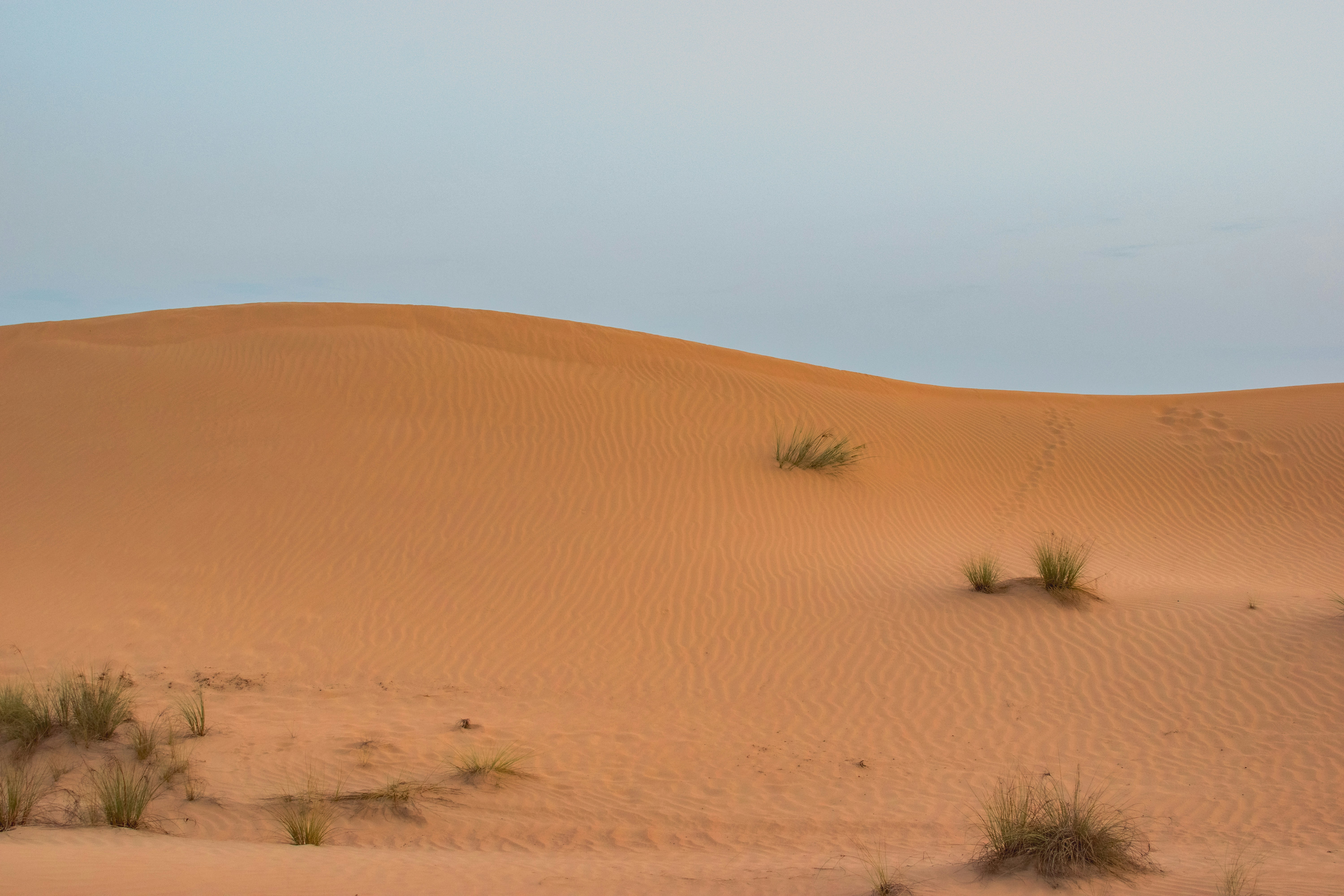 Photo by patrikjensen