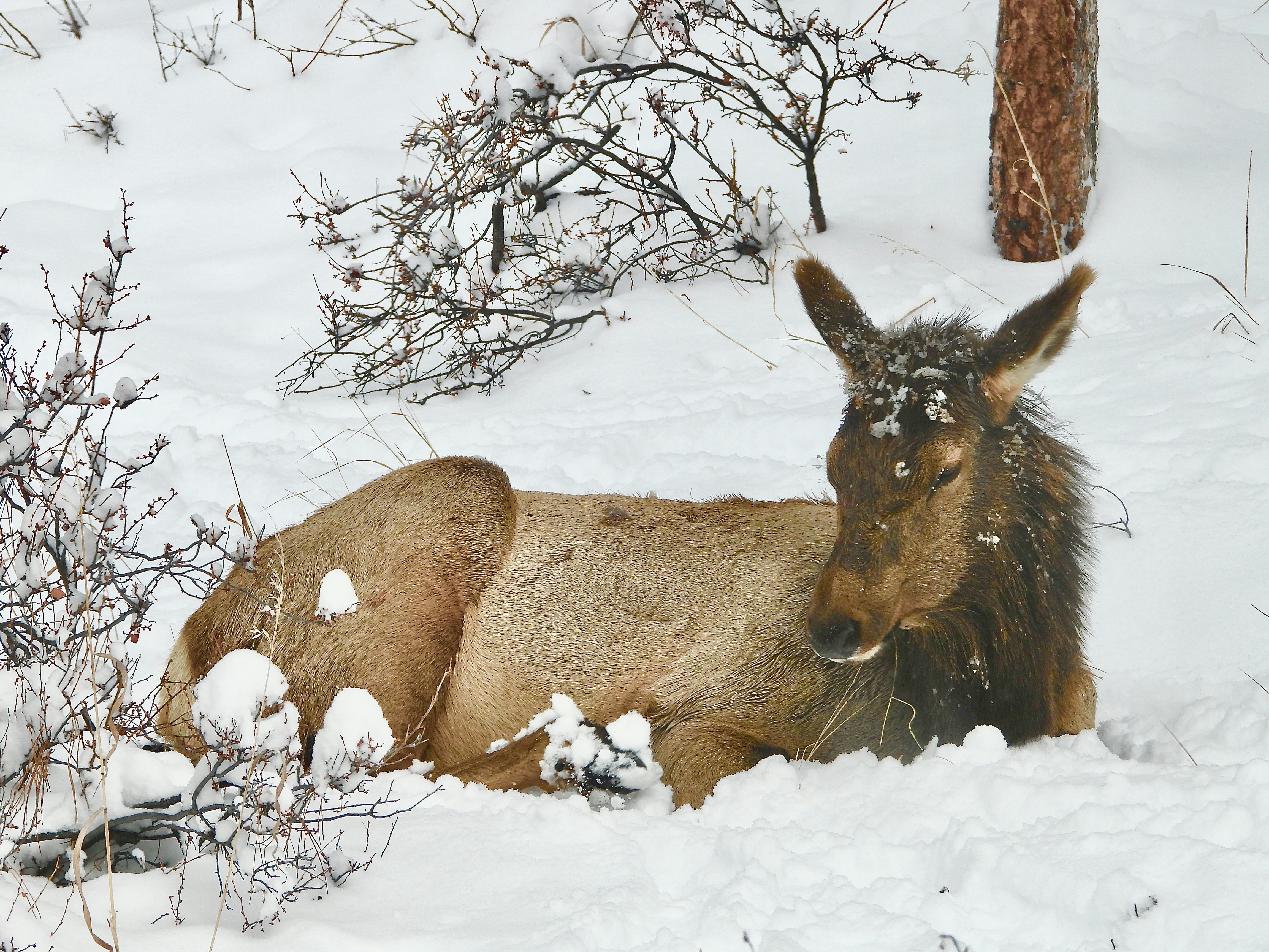 Photo by evergreene24