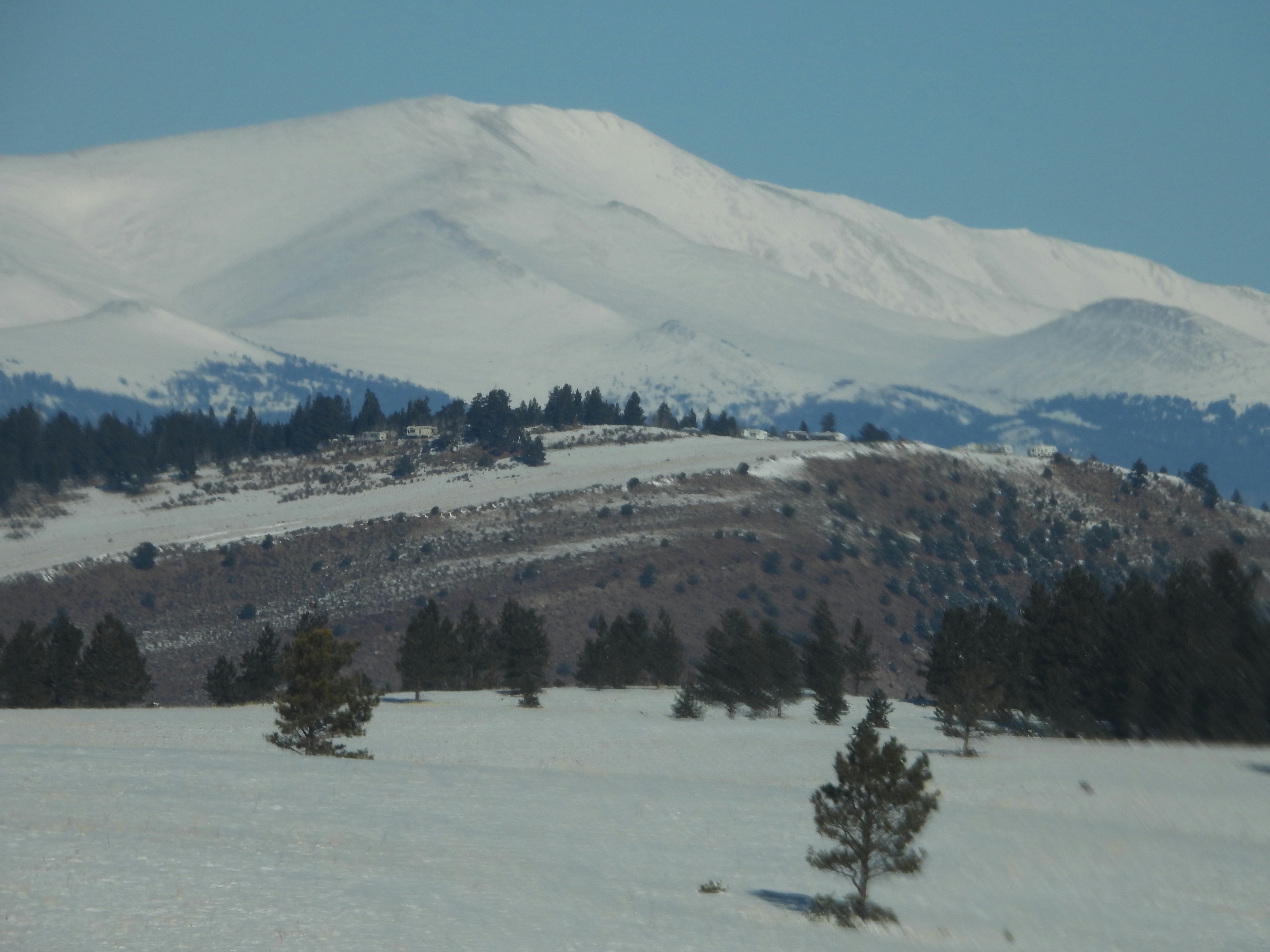 Photo by evergreene24