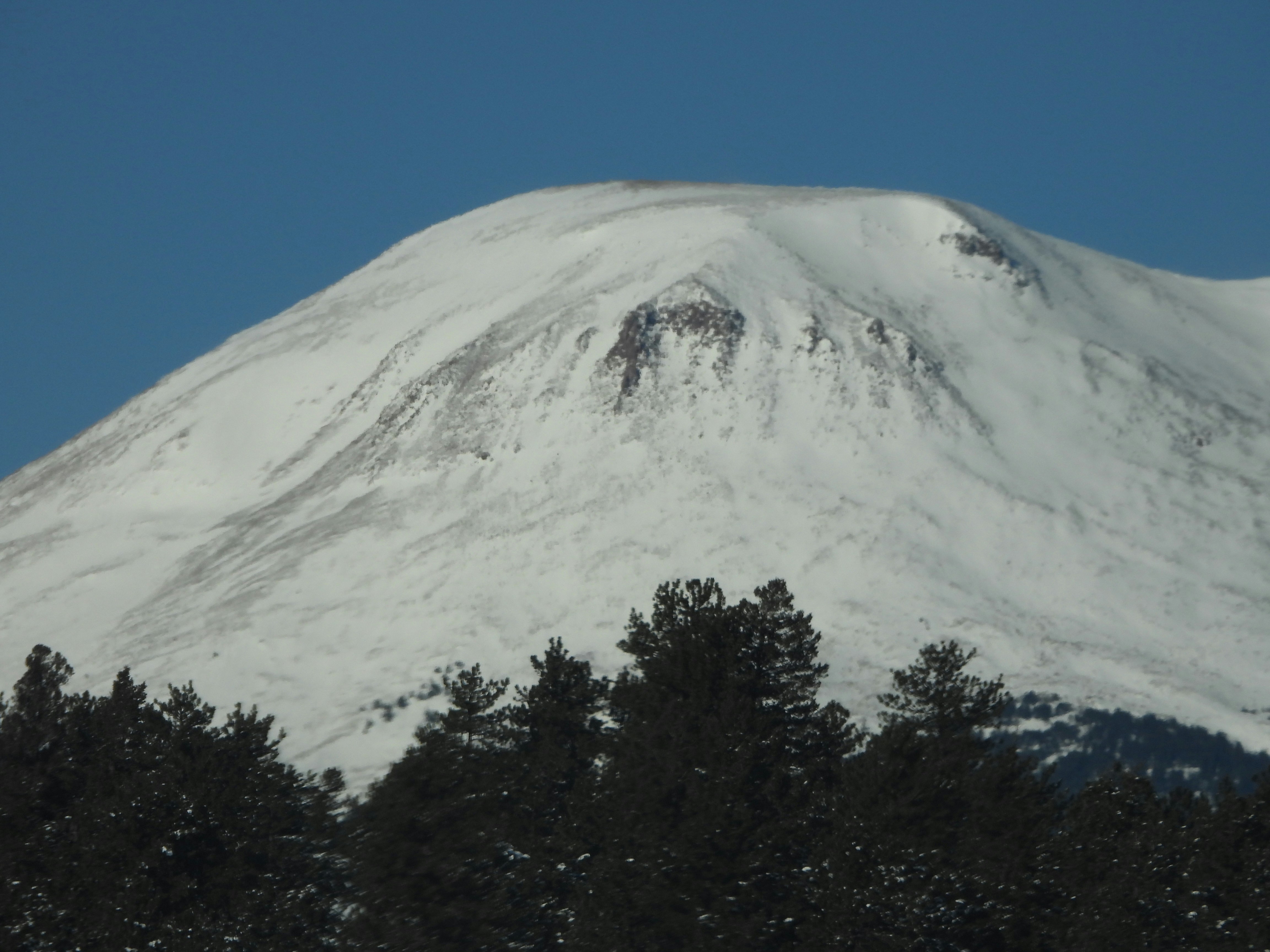 Photo by evergreene24