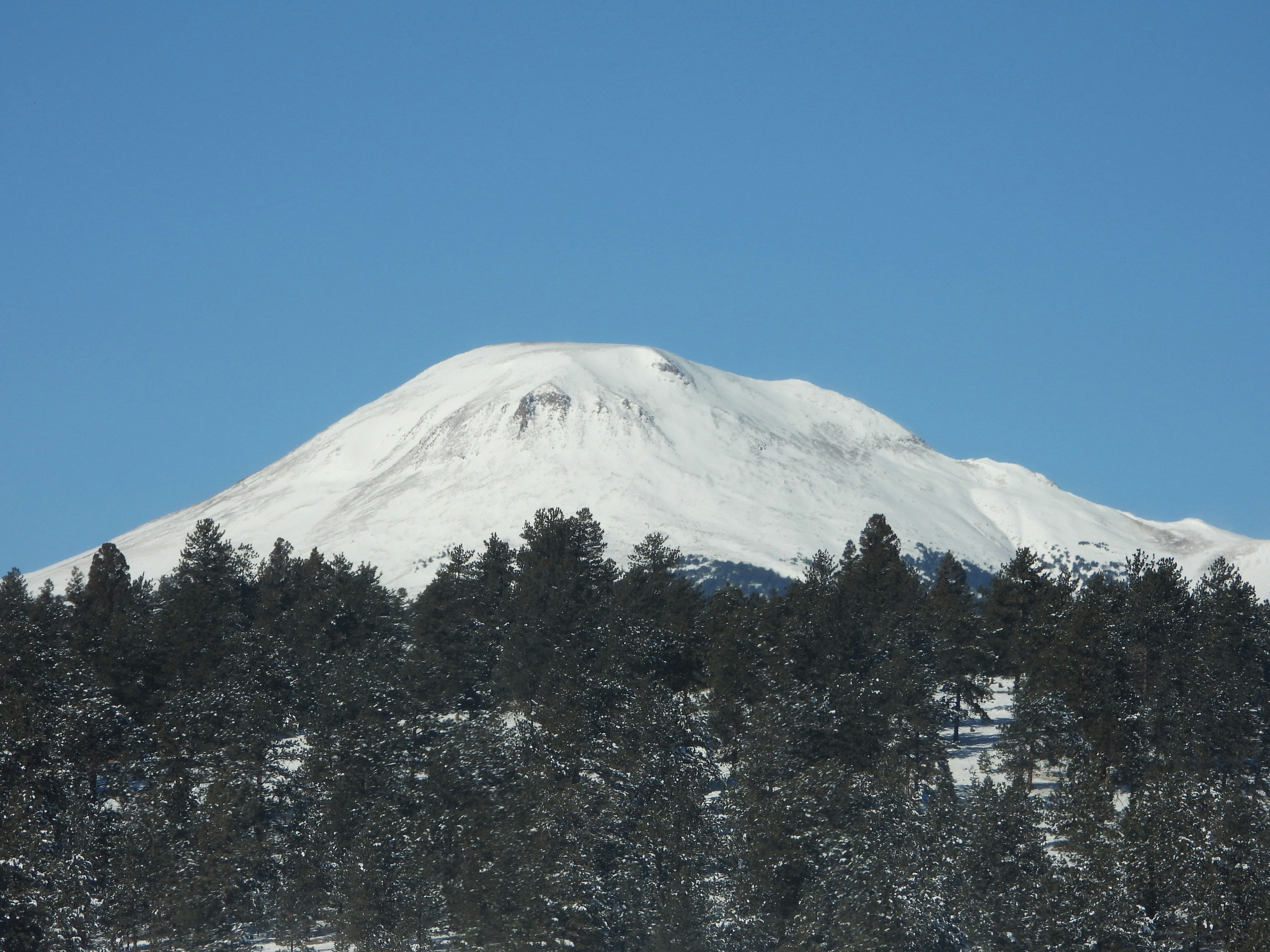 Photo by evergreene24