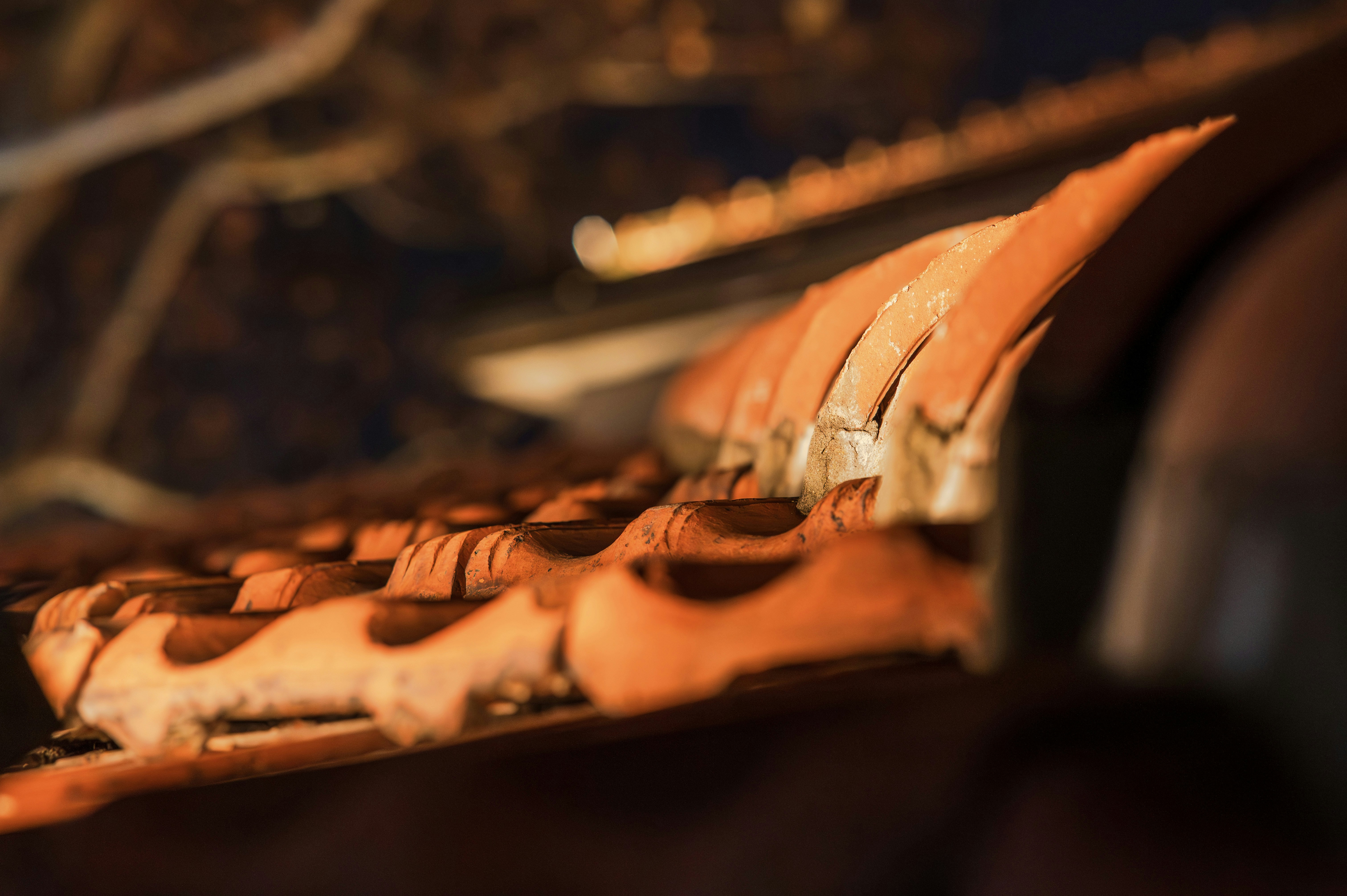 Photo by excellentcx