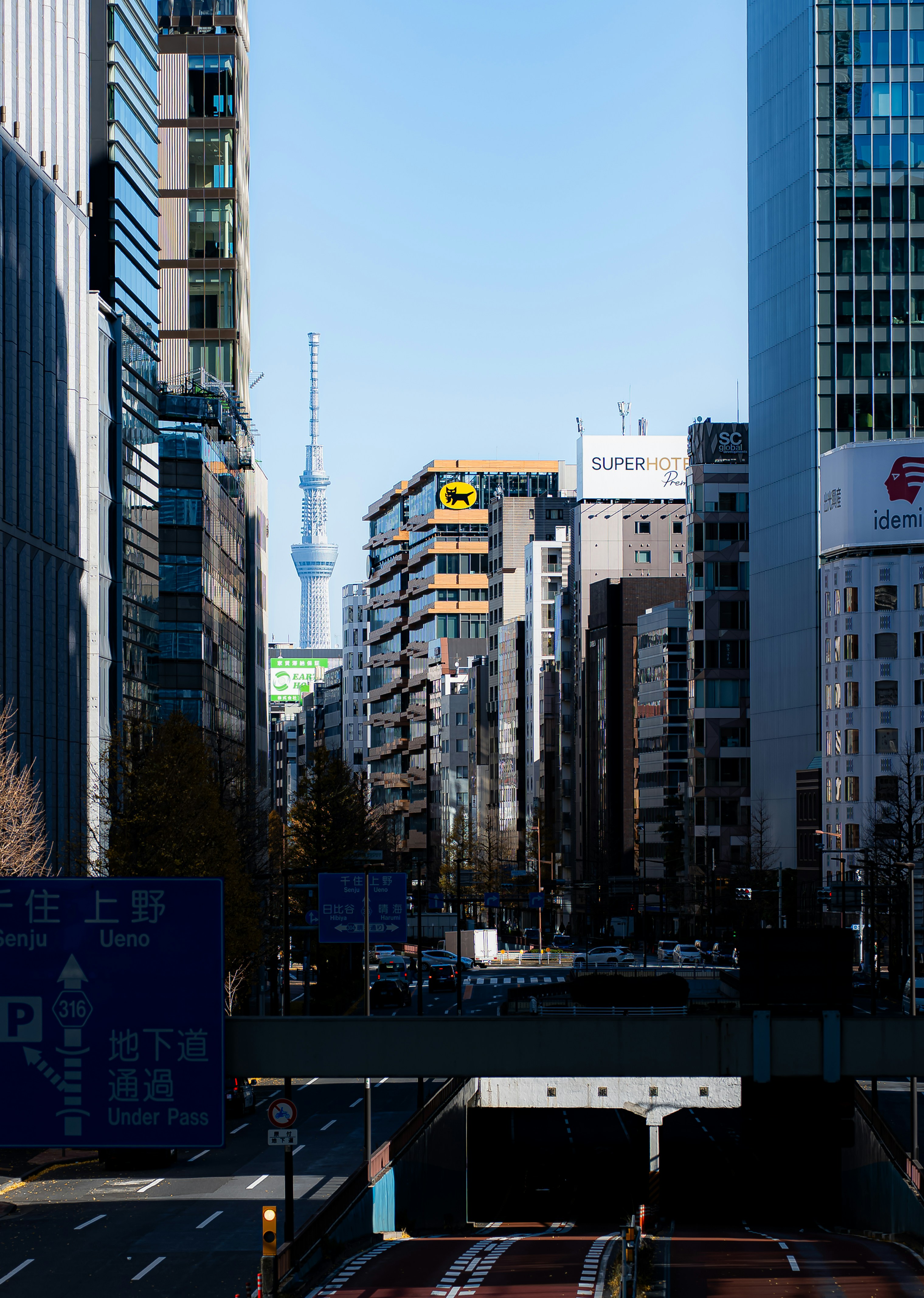 A view of a city street with tall buildings