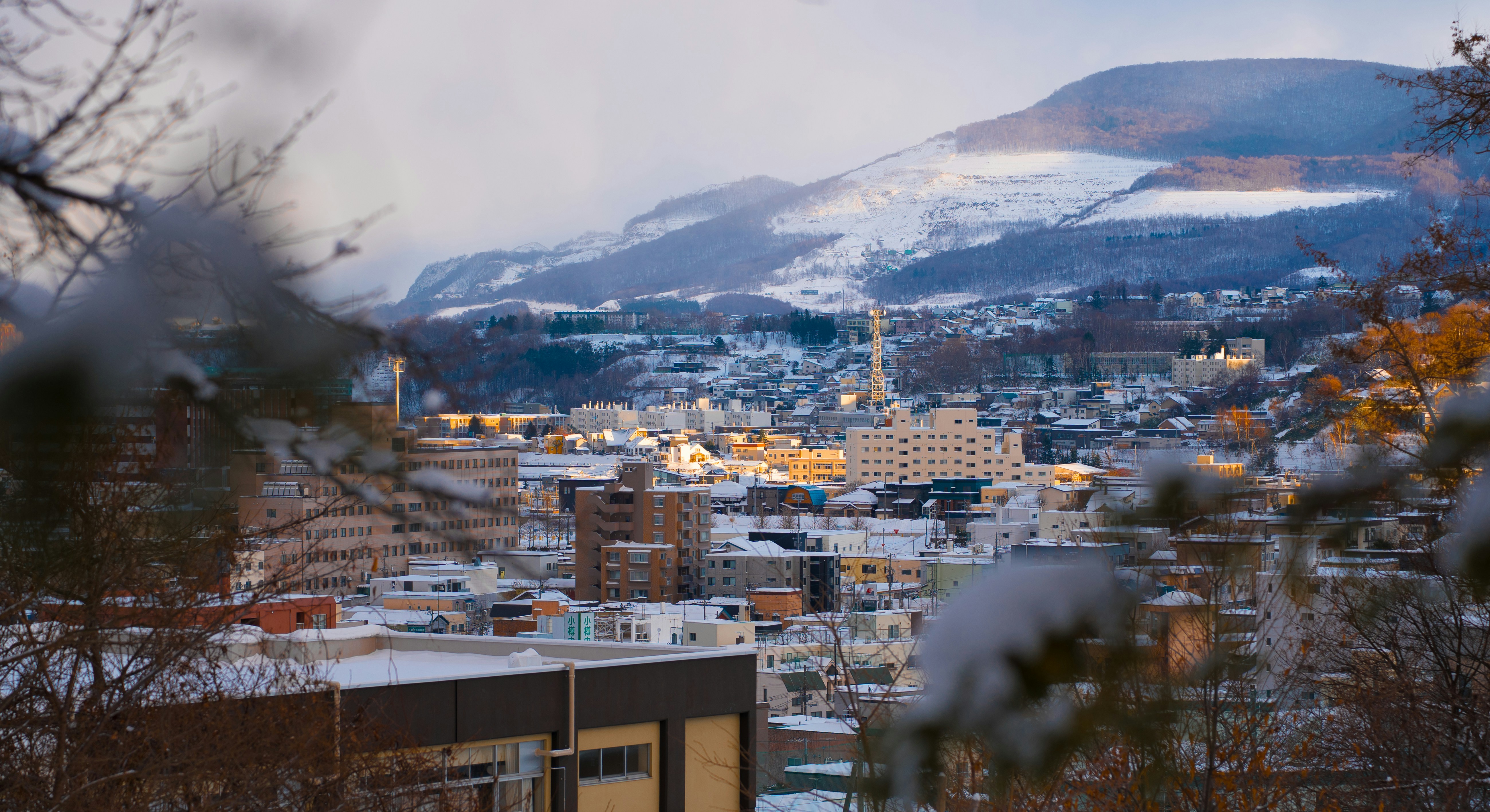 Photo by apricot_tart