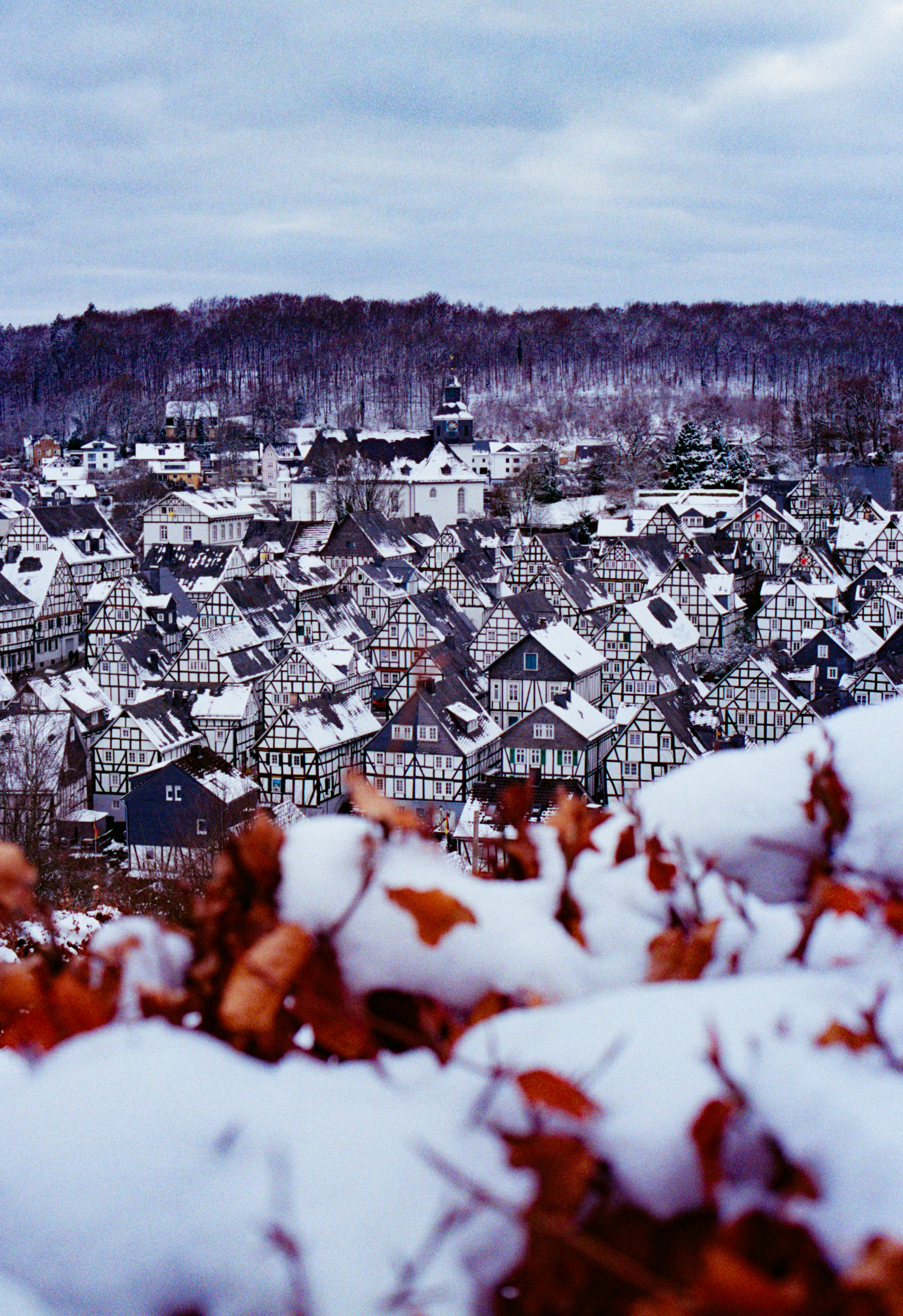 Monochrome Dreams: An Art Critic’s Winter Escape to Freudenberg