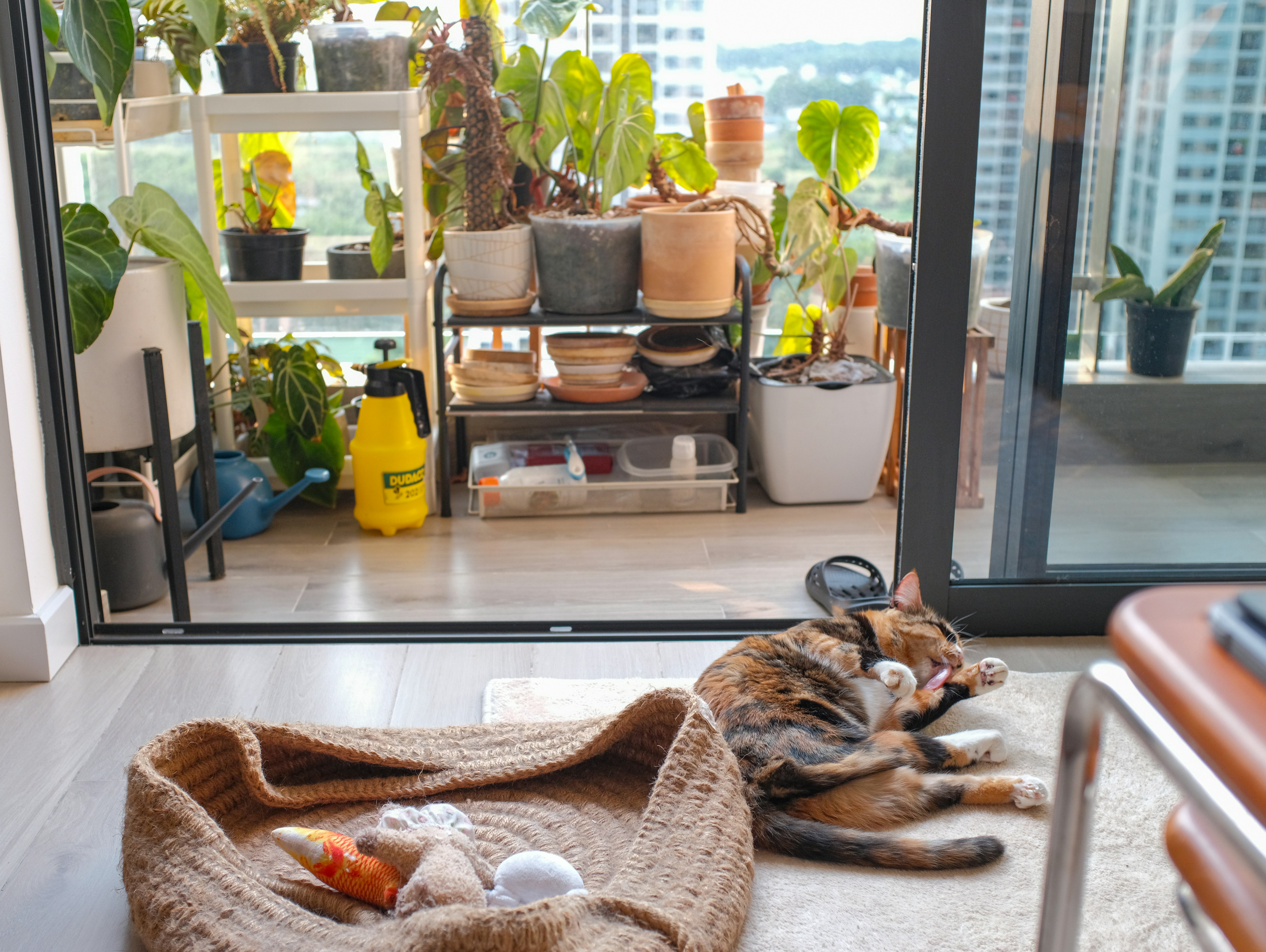 Evde sürdürülebilir yaşamı simgeleyen; cam kavanozlar, bez torbalar, yeşil ev bitkileri ve doğal ışıkla aydınlatılmış çevre dostu bir iç mekan tasarımı.