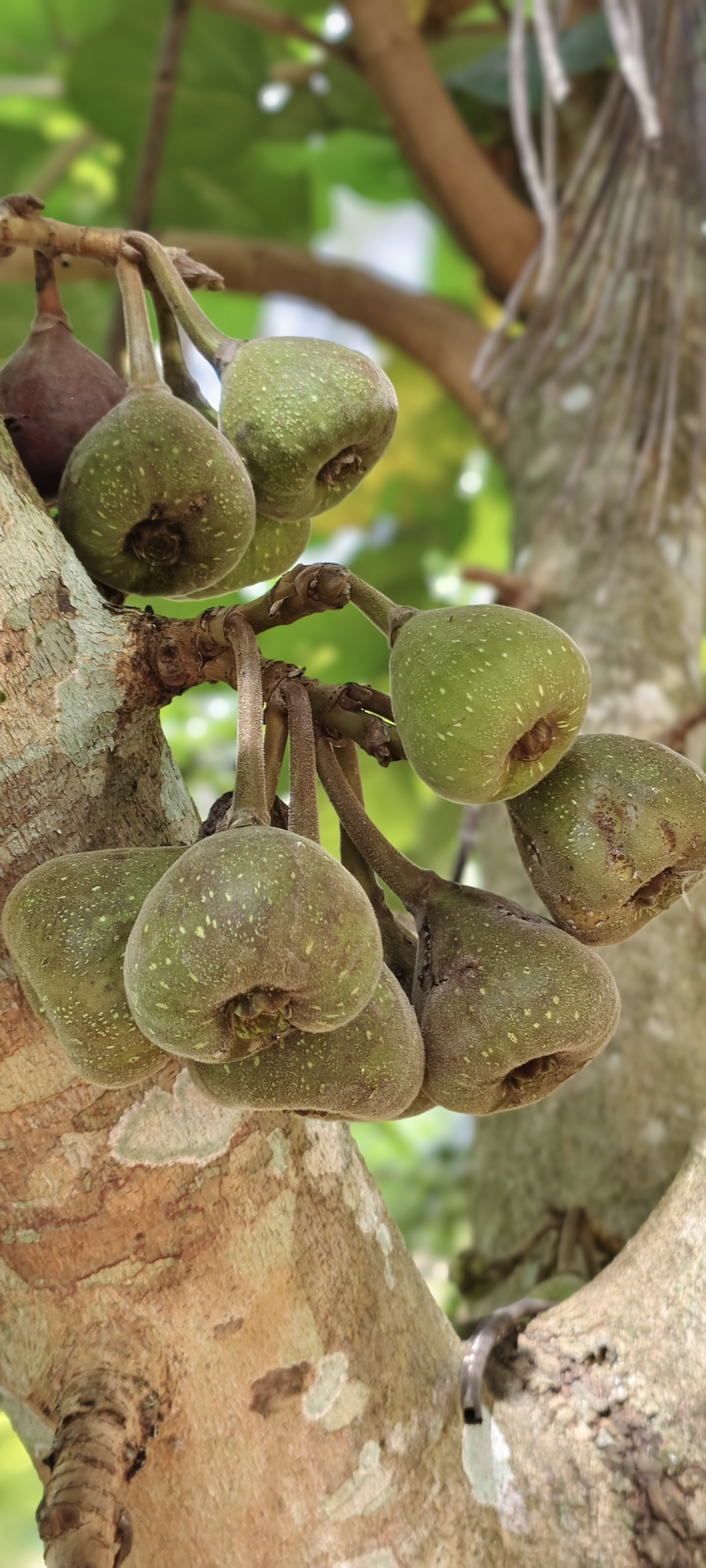 Photo by shahee_hashi