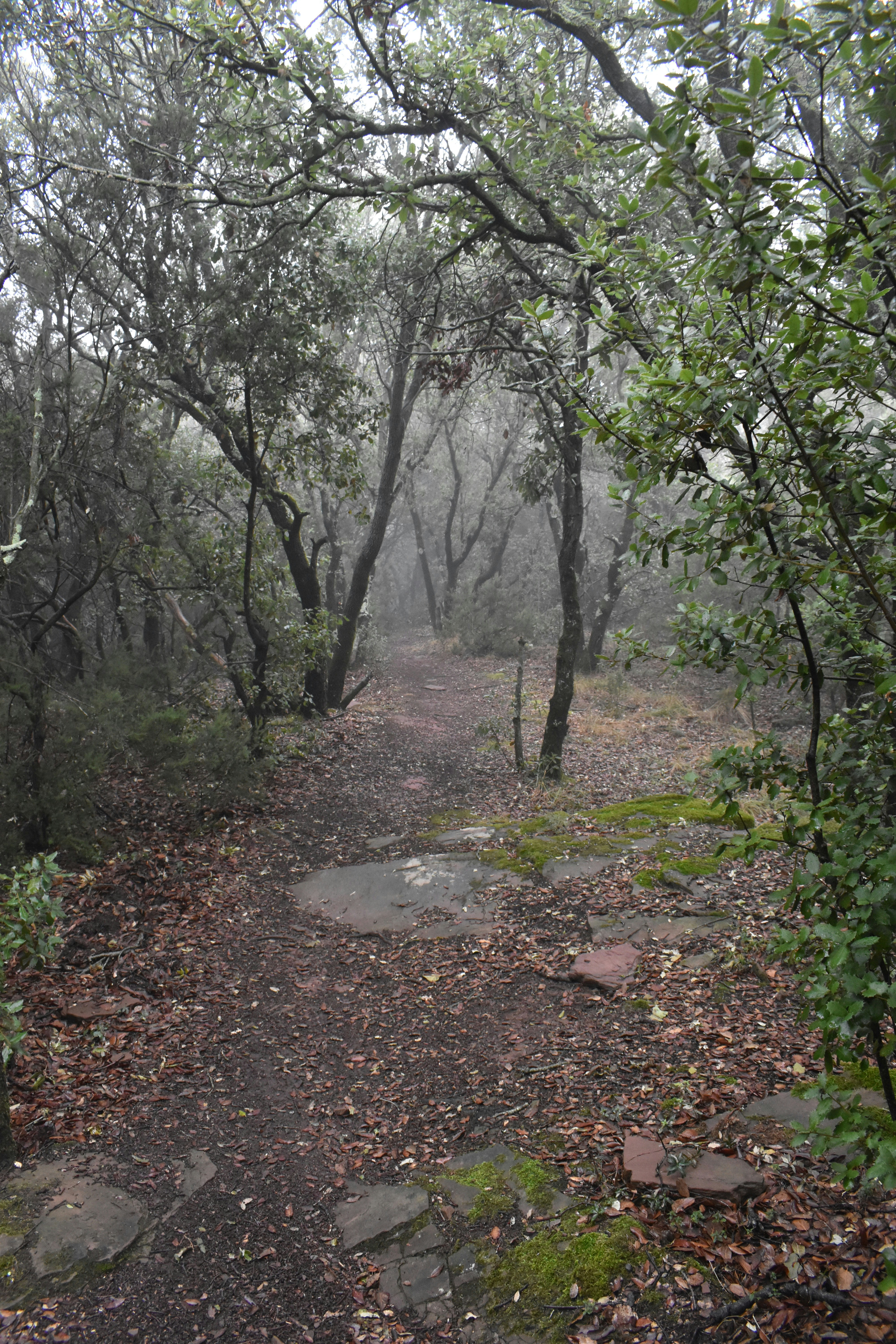 Photo by niloufarmirhadi