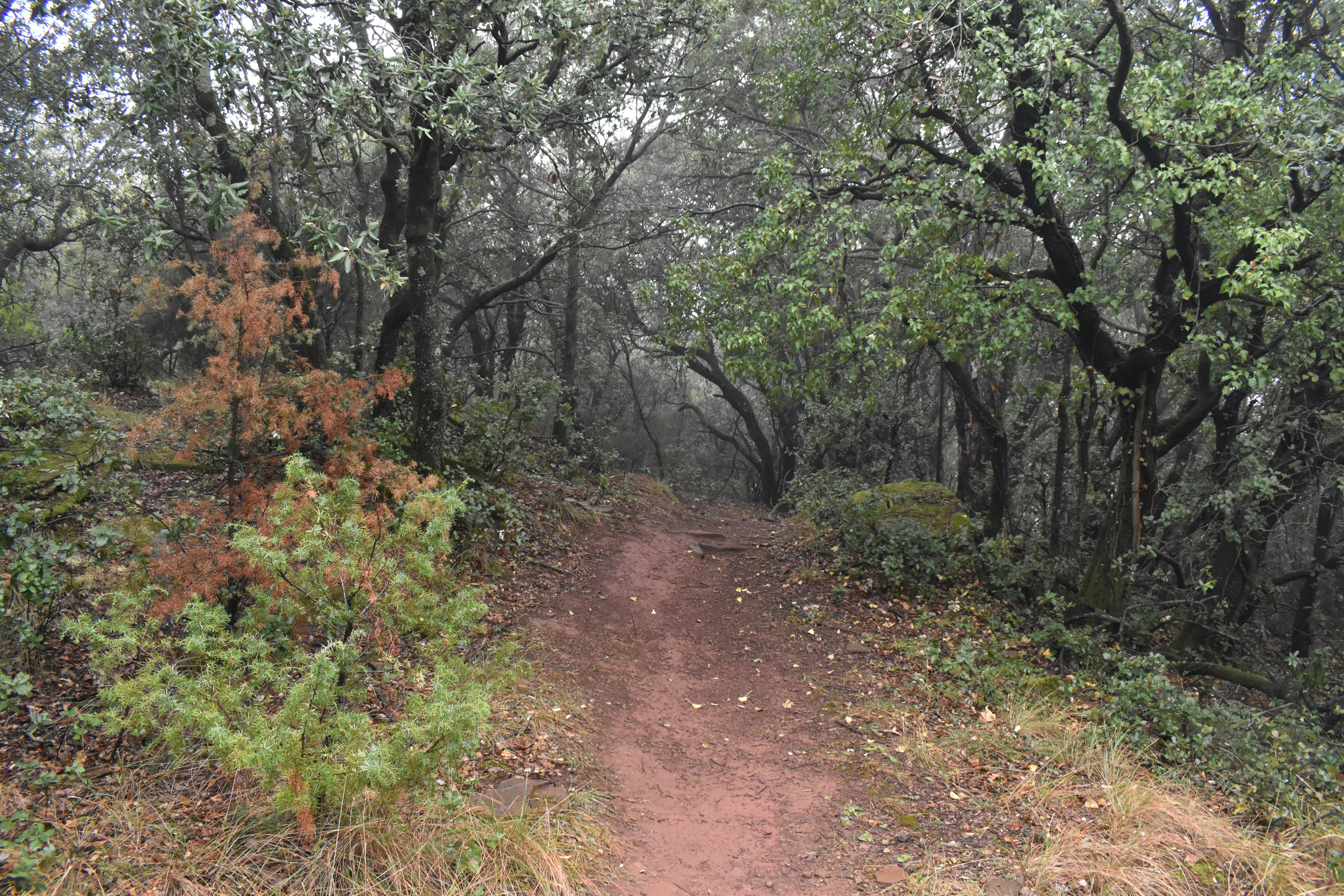 Photo by niloufarmirhadi