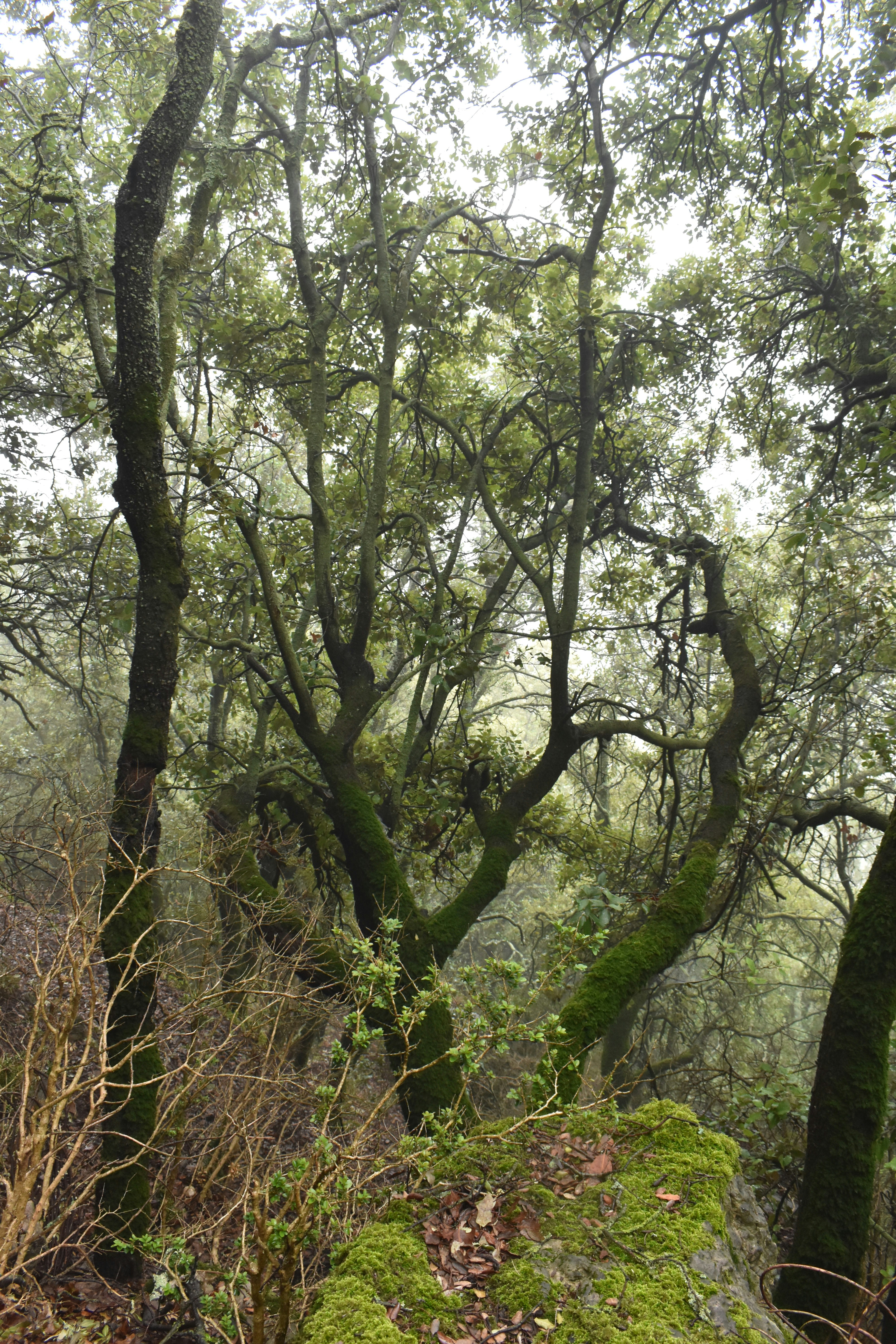 Photo by niloufarmirhadi