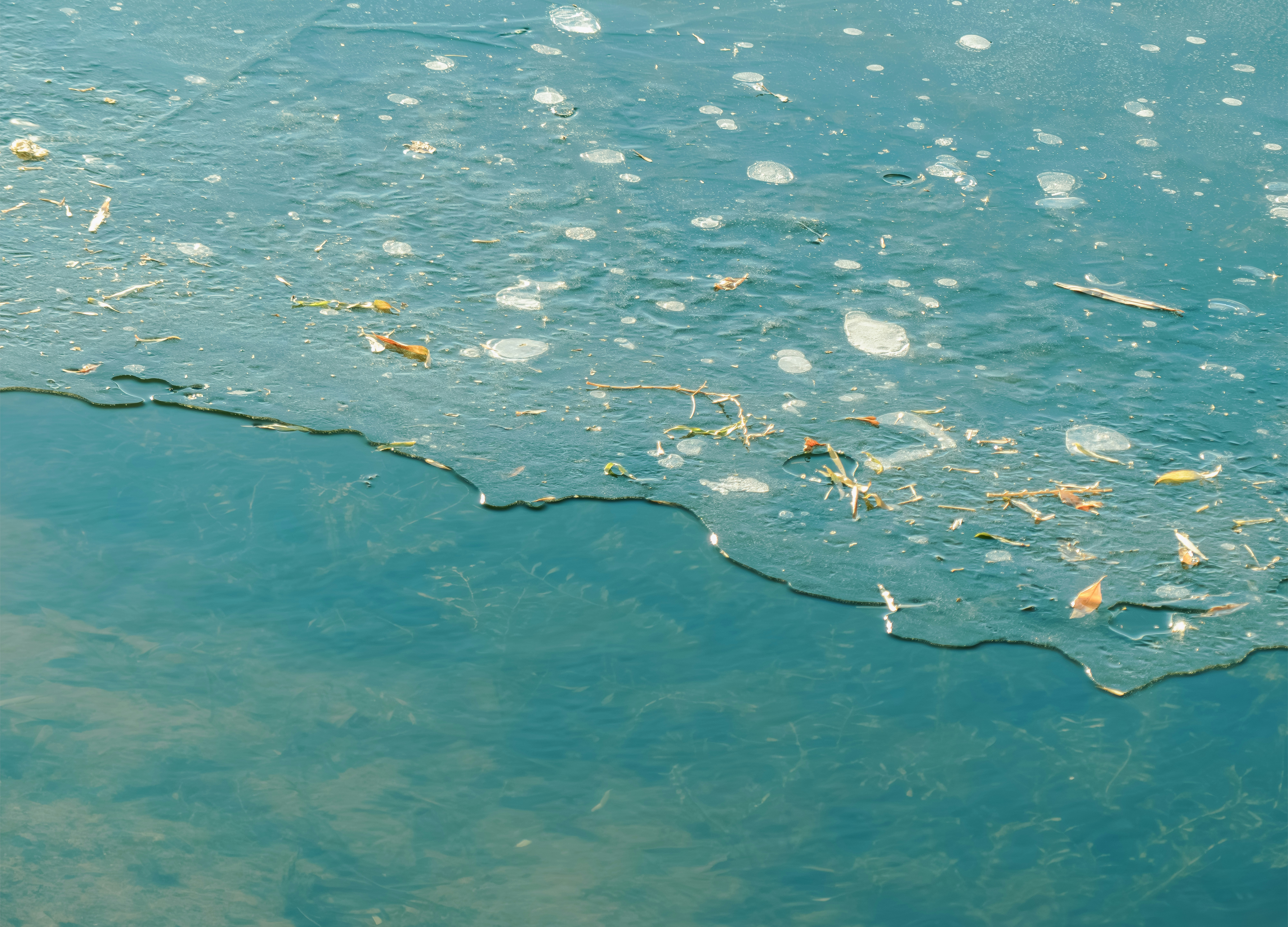 Future Challenges and Opportunities (image credits: unsplash)