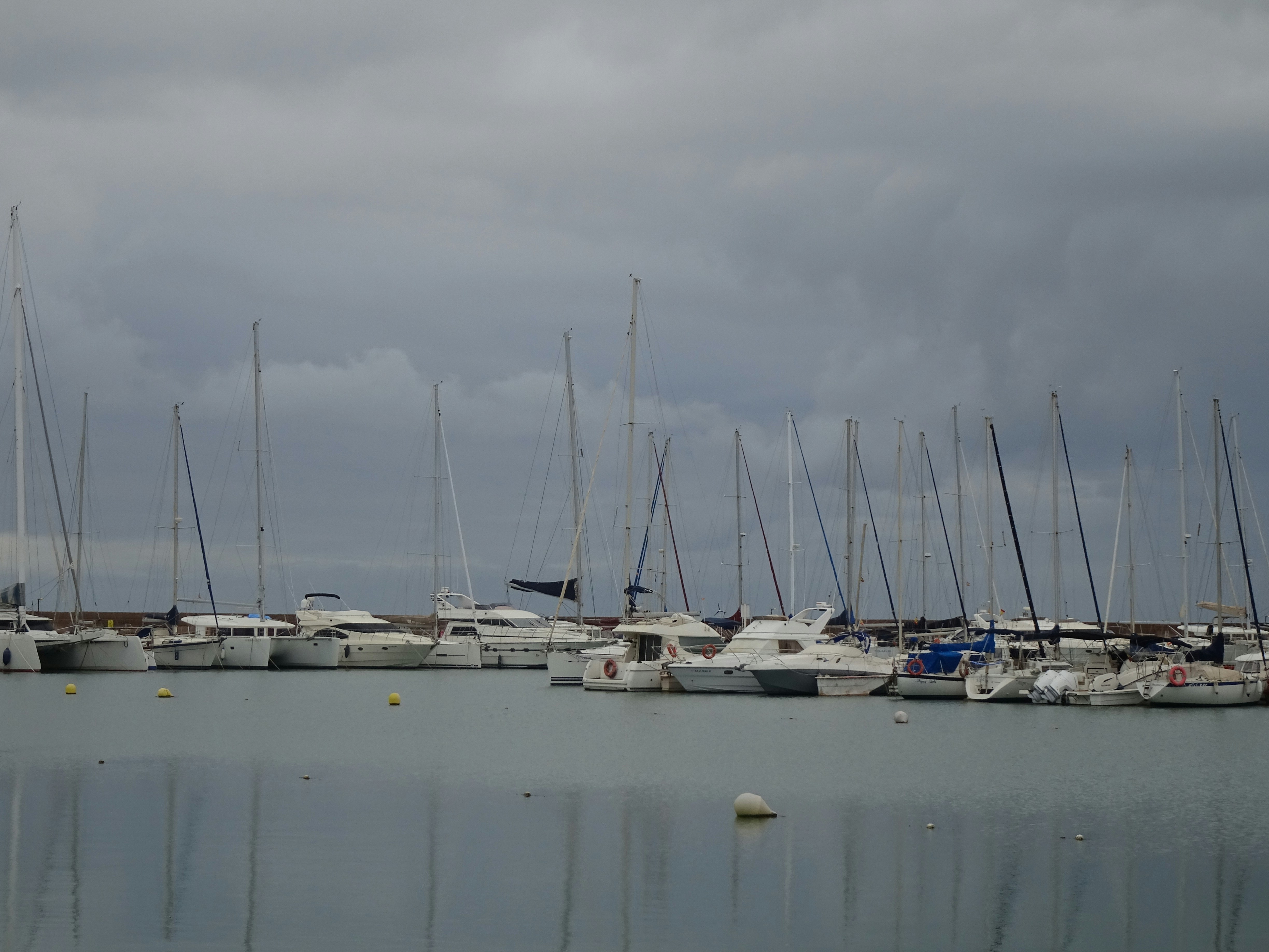 Photo by ludovico_06