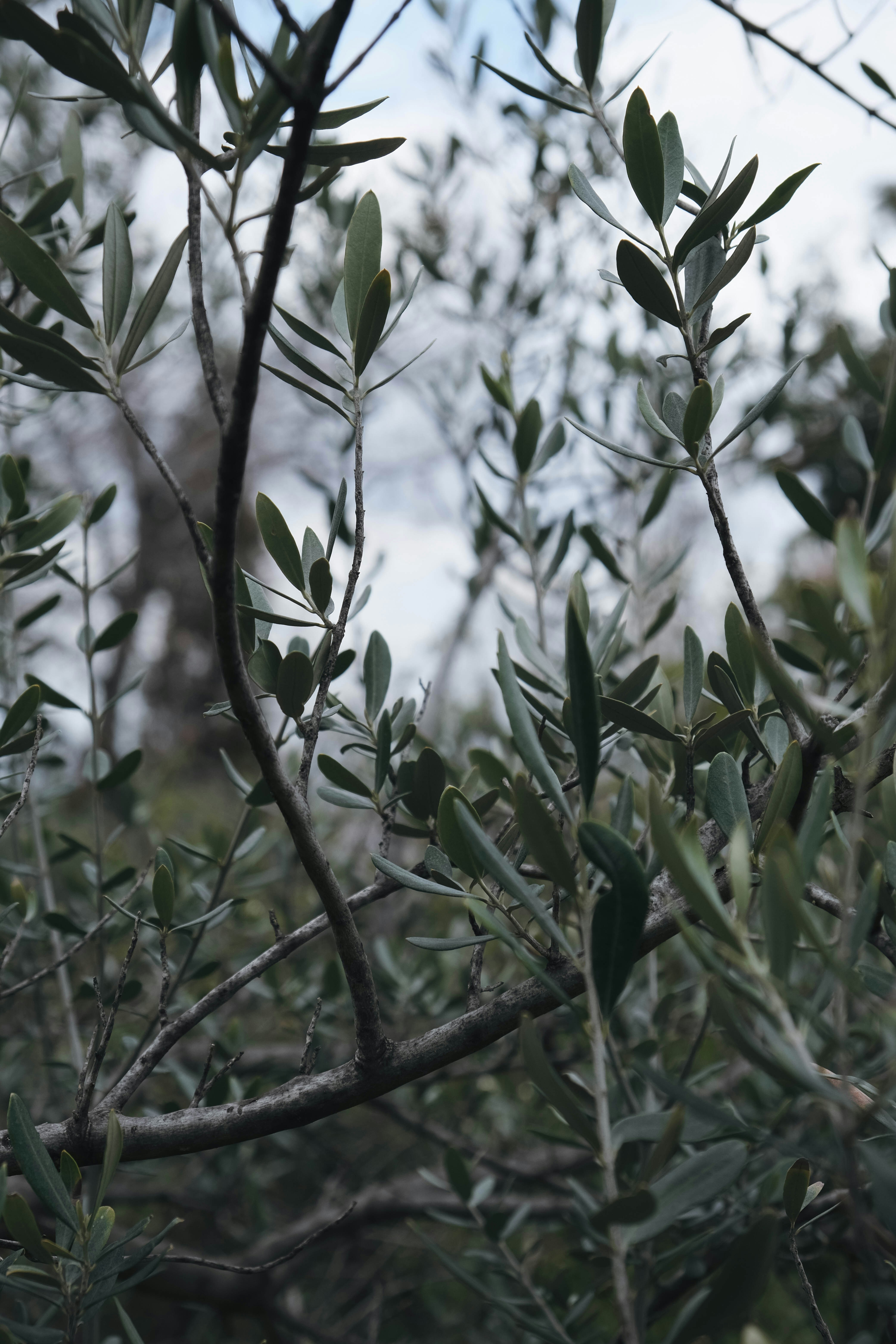 Photo by marileeandthesea