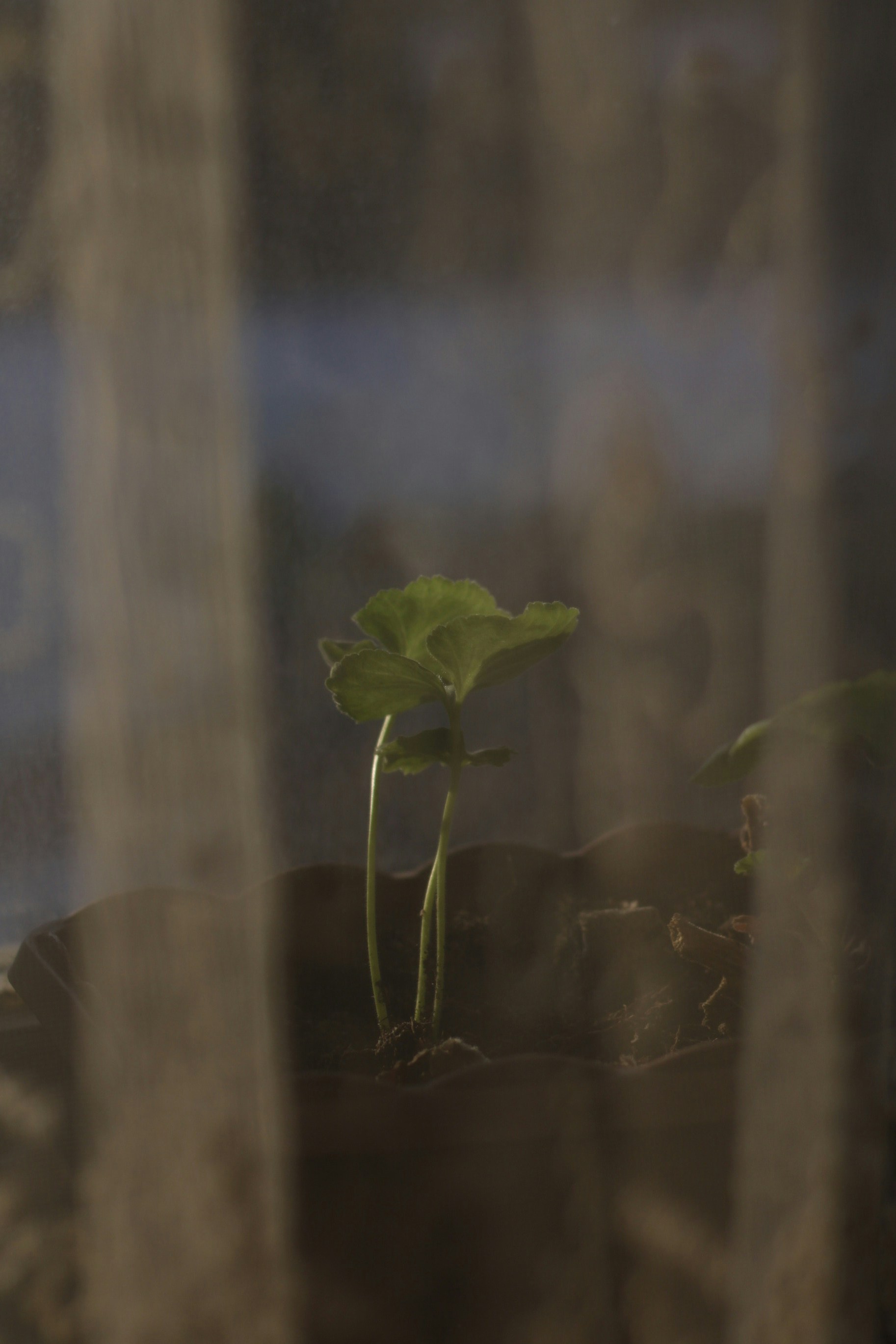 Photo by enamoradaaa