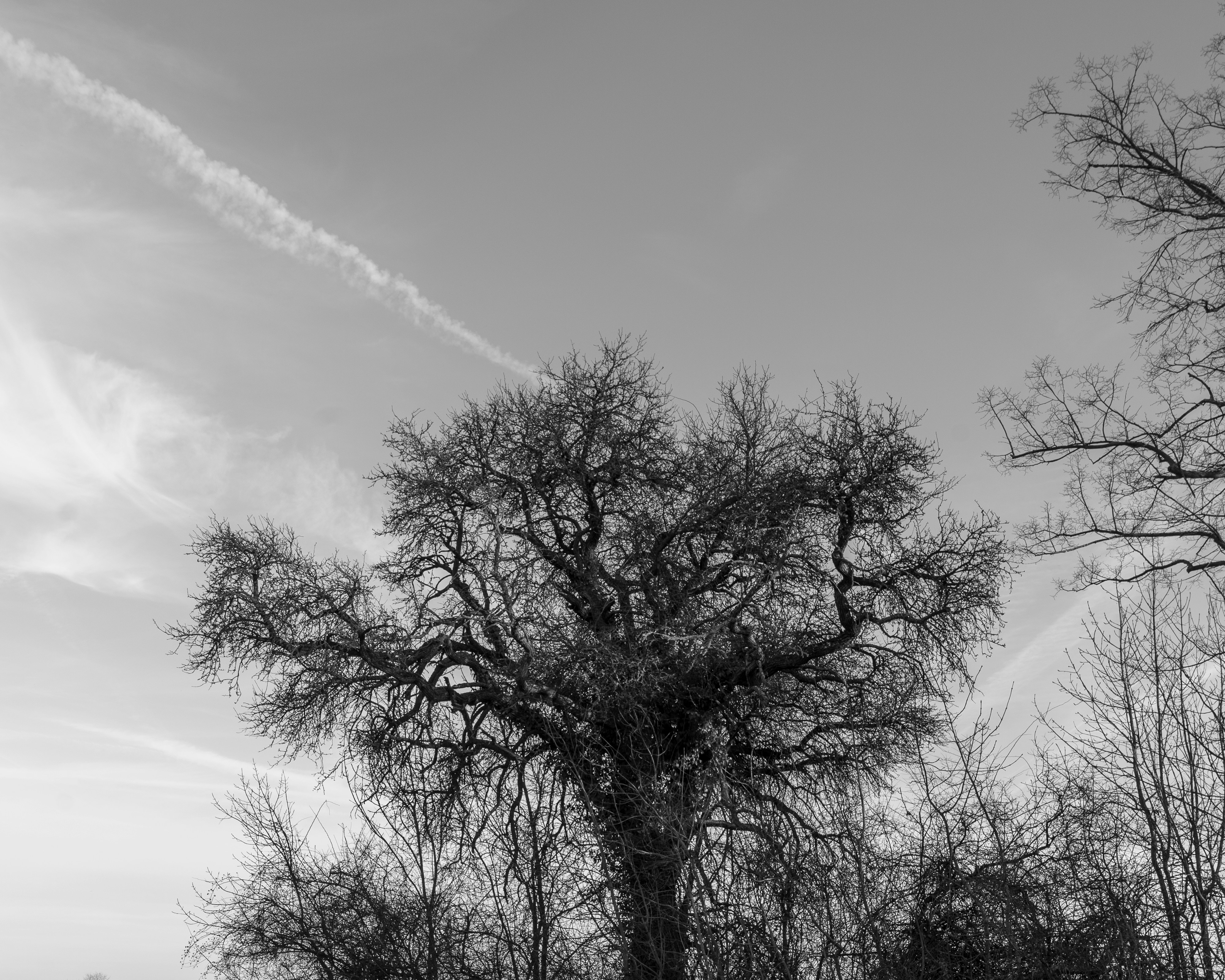 Photo by bangscreative