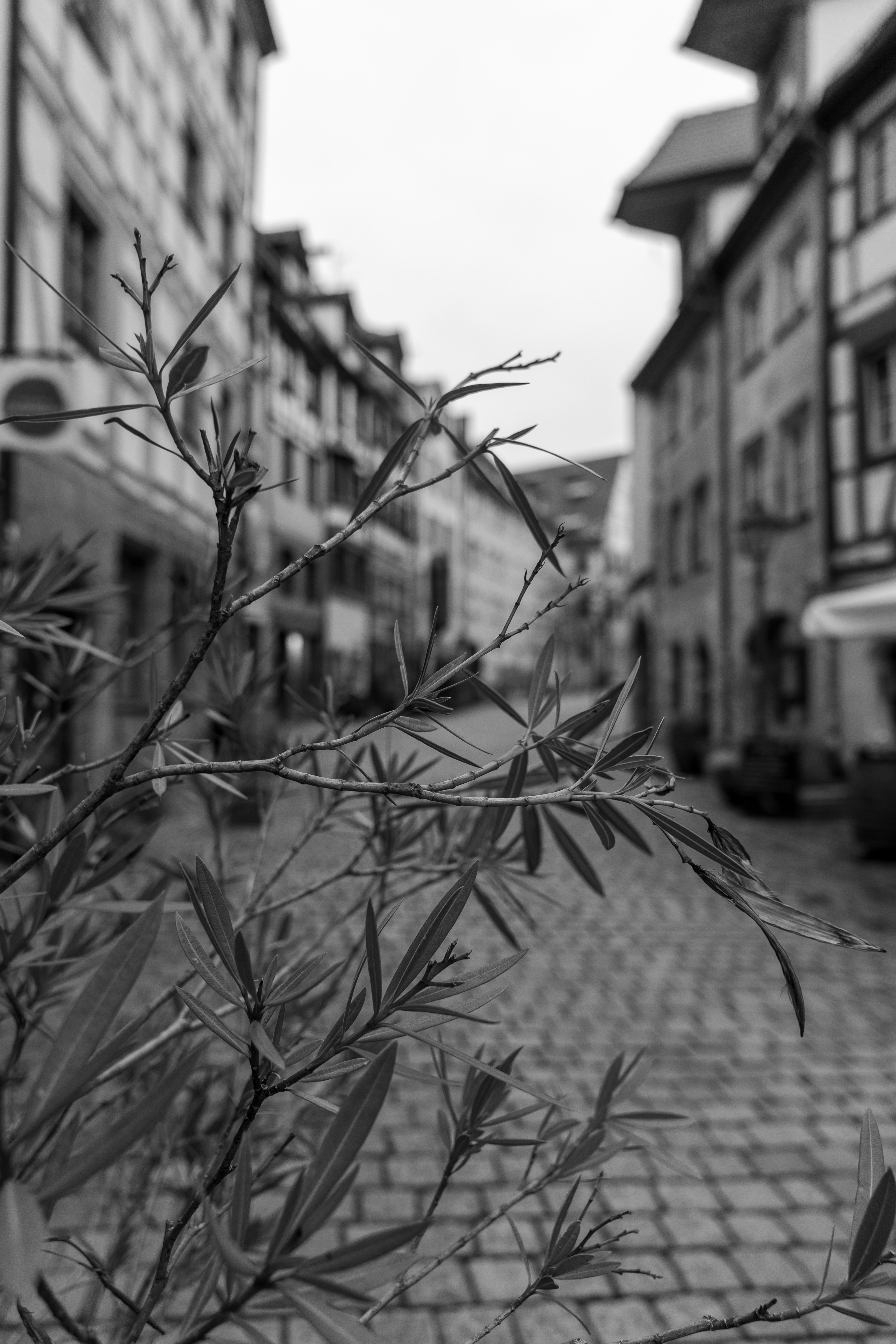 Photo by bangscreative