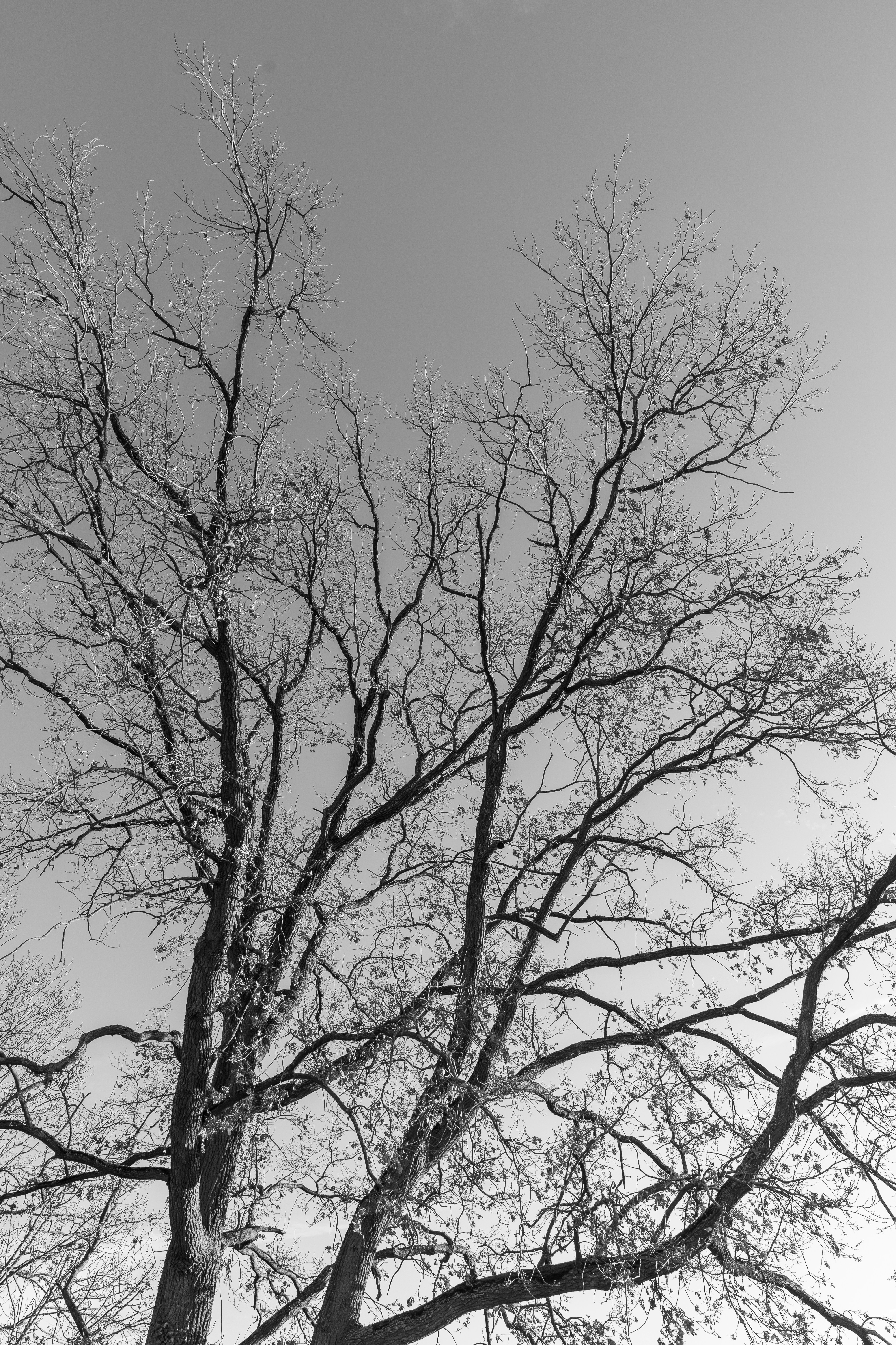 Photo by bangscreative