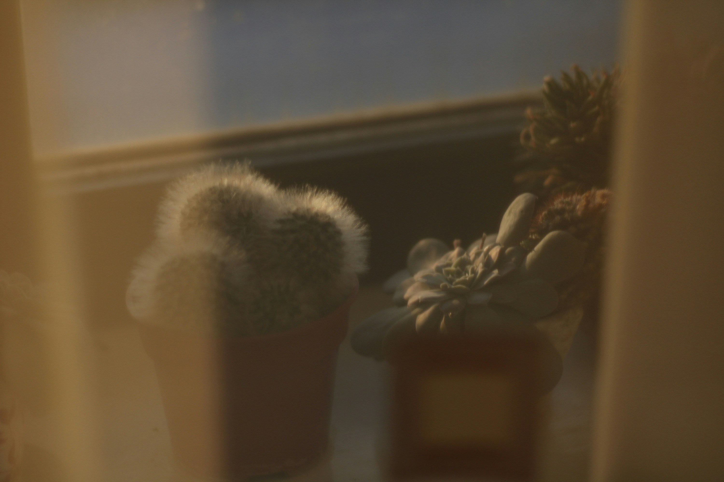 Photo by enamoradaaa