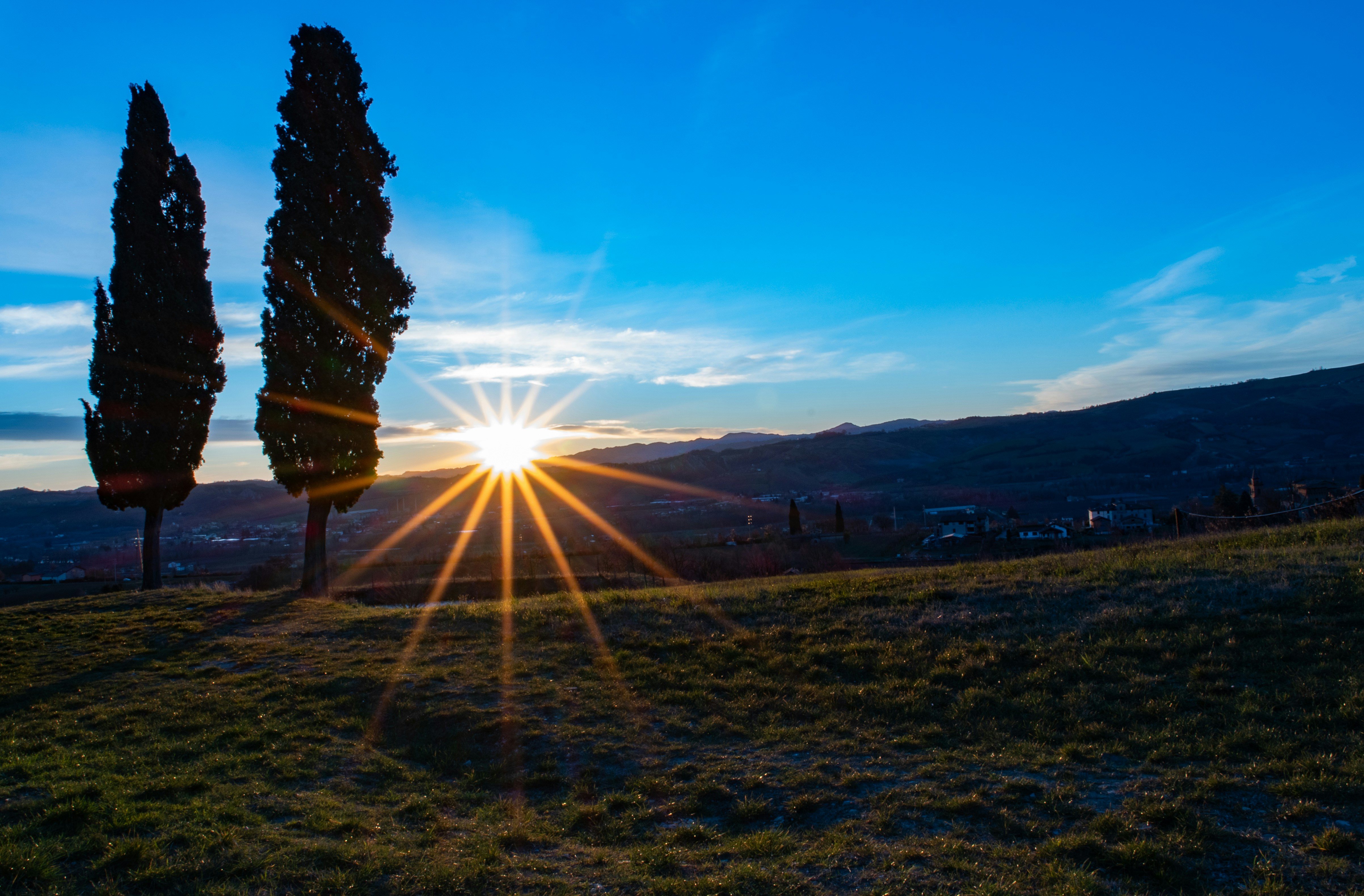 Un par de árboles sentados en la cima de un exuberante campo verde