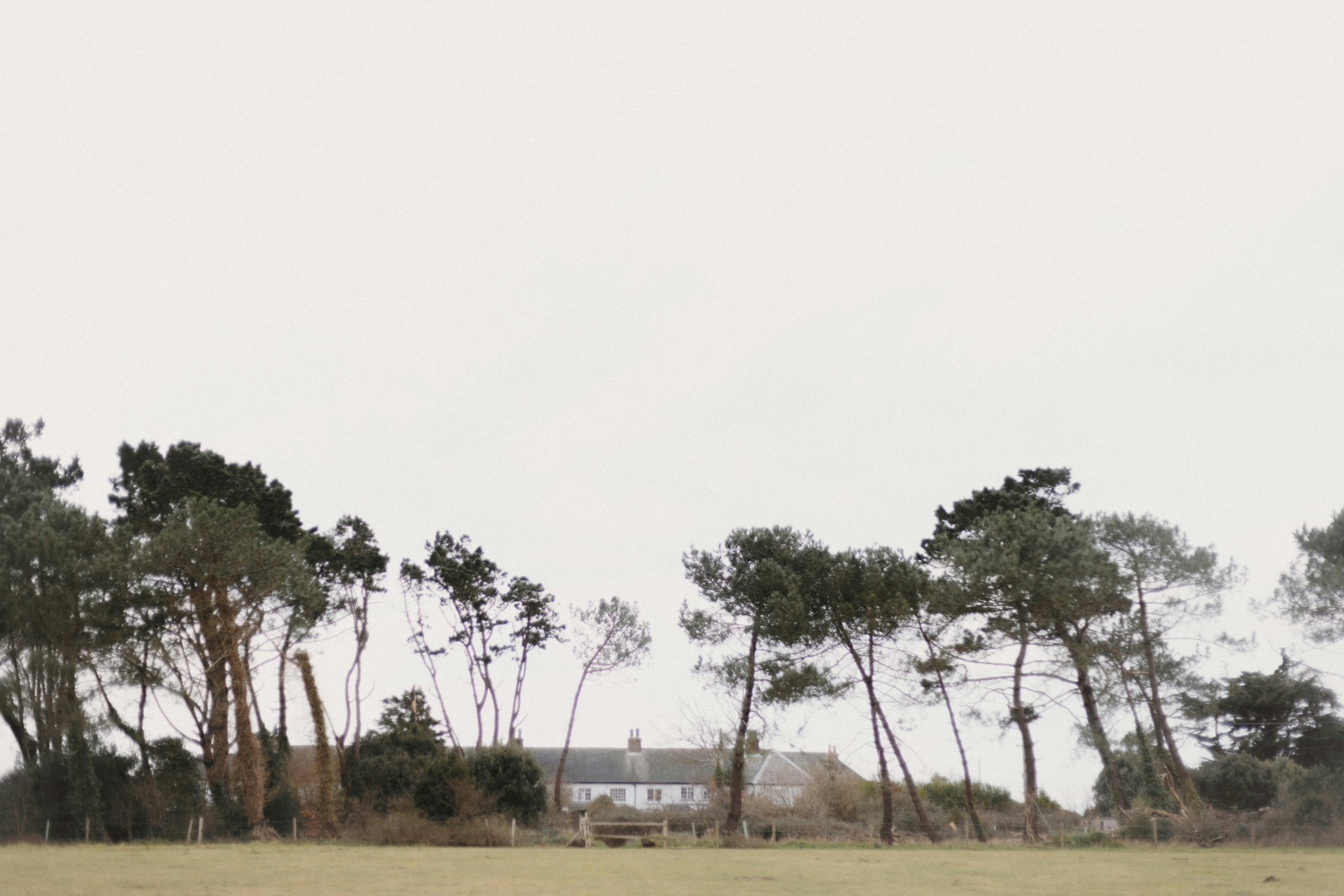 Photo by anniespratt