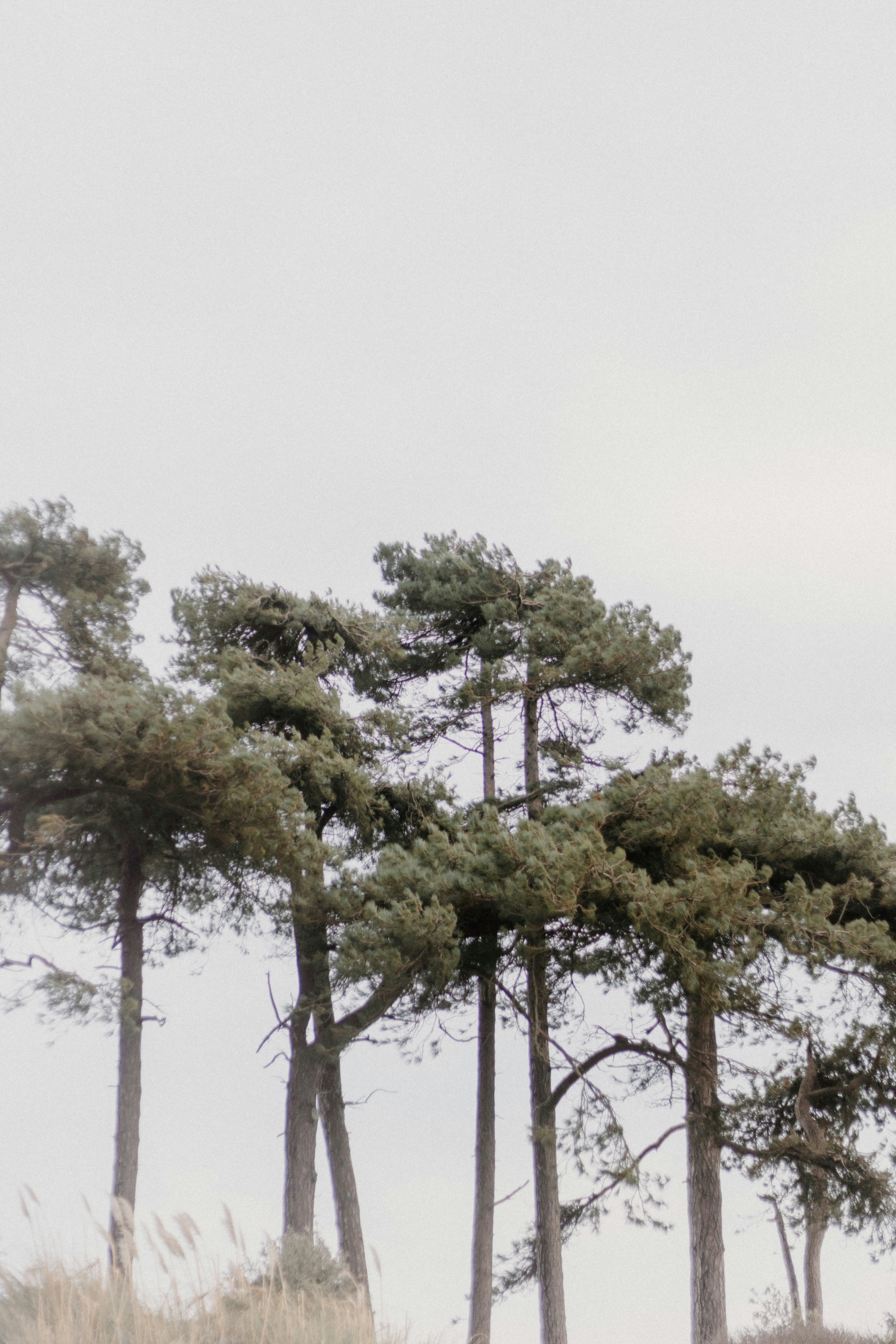 Photo by anniespratt