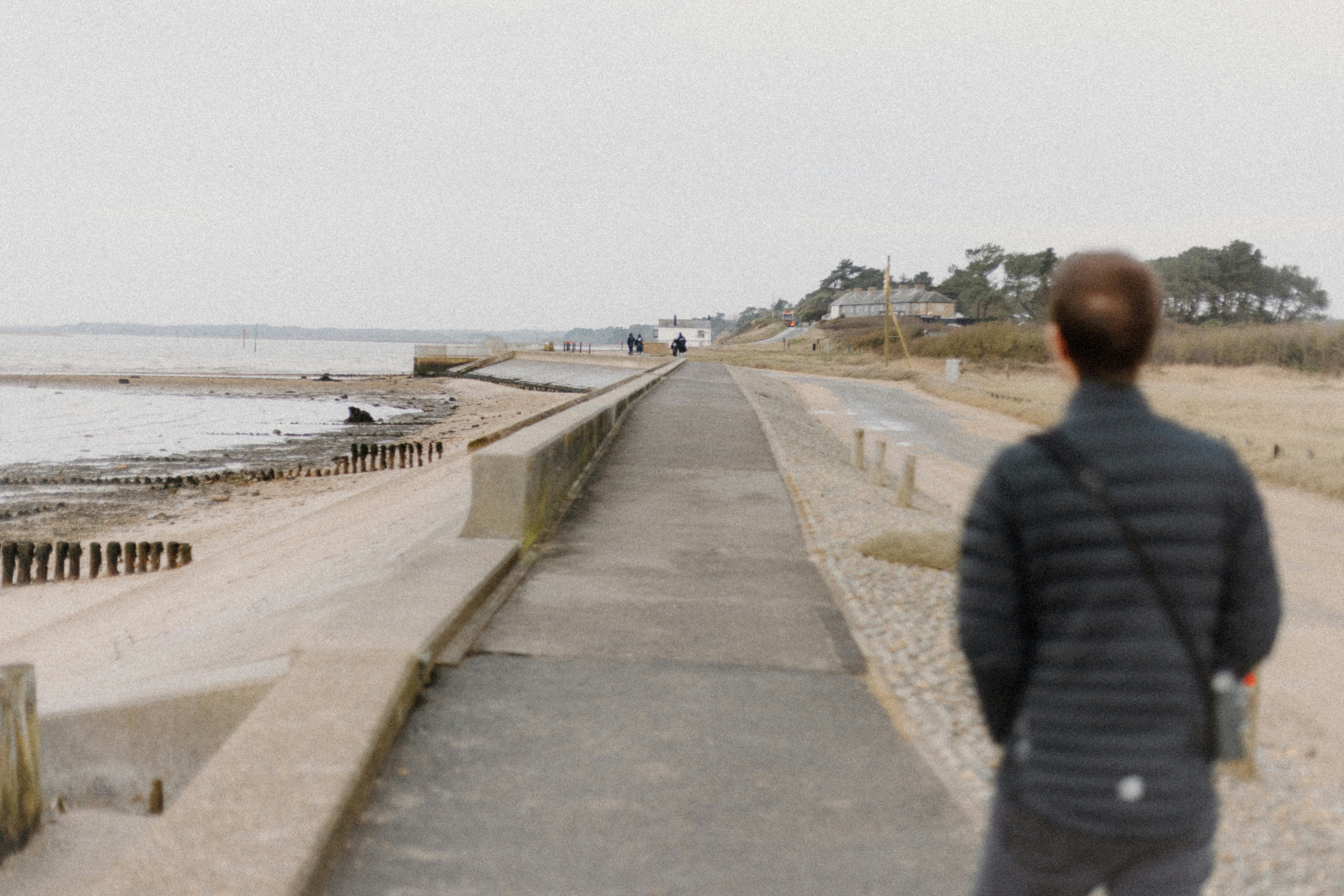 Photo by anniespratt