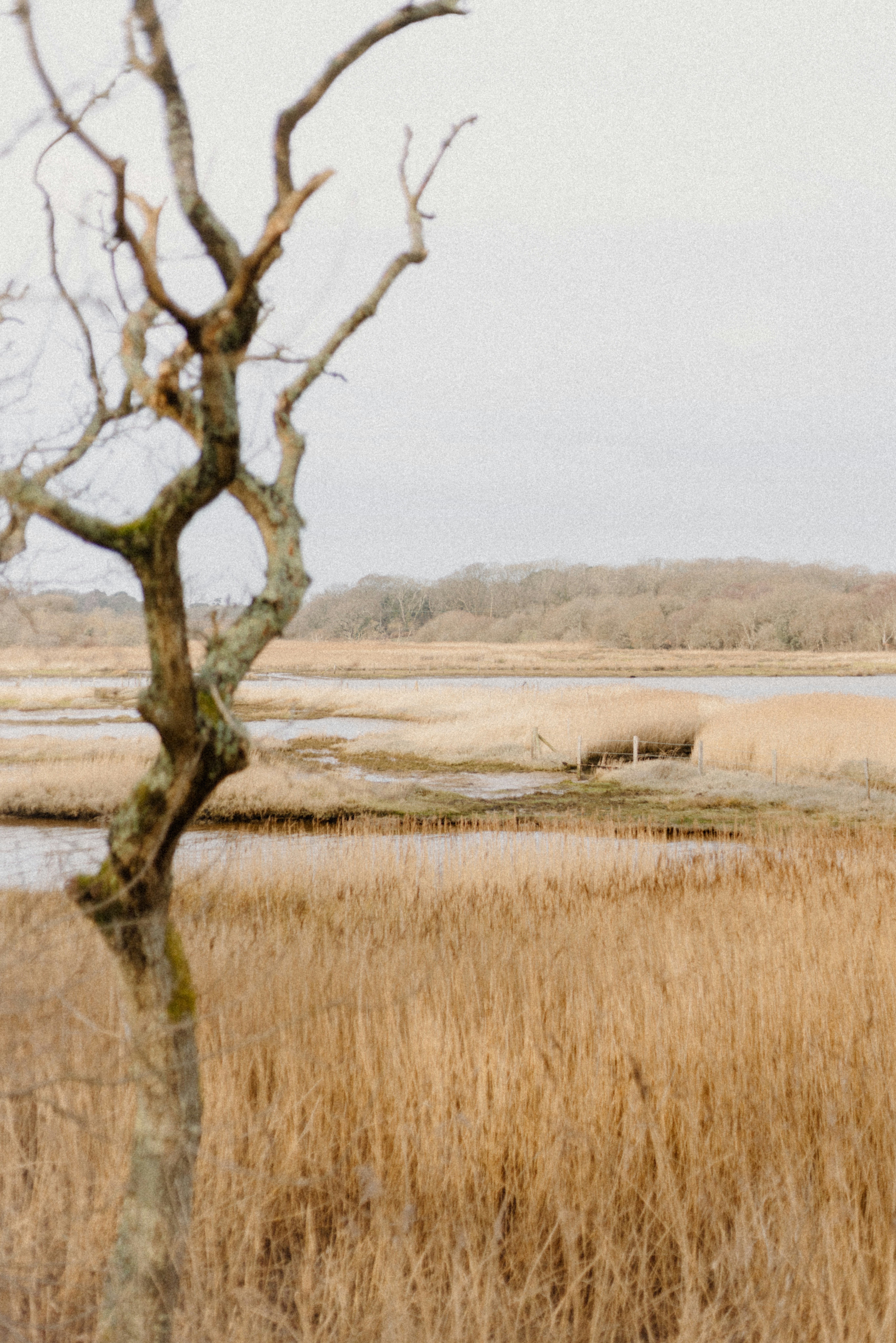 Photo by anniespratt